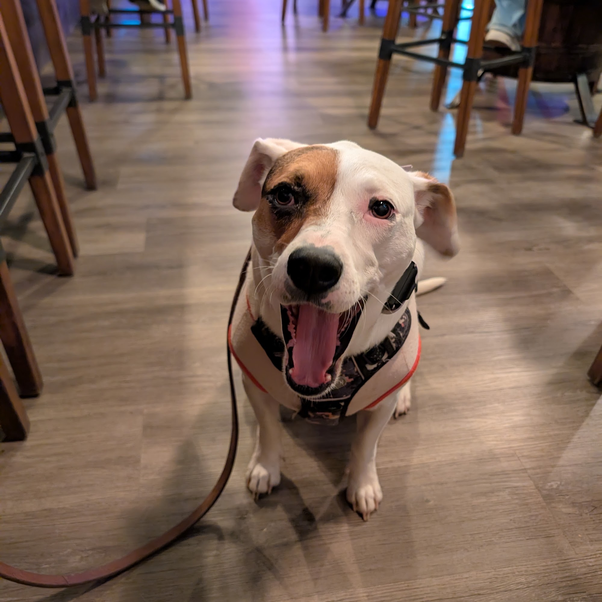 Beer Lab by Ghostface Brewing Mooresville