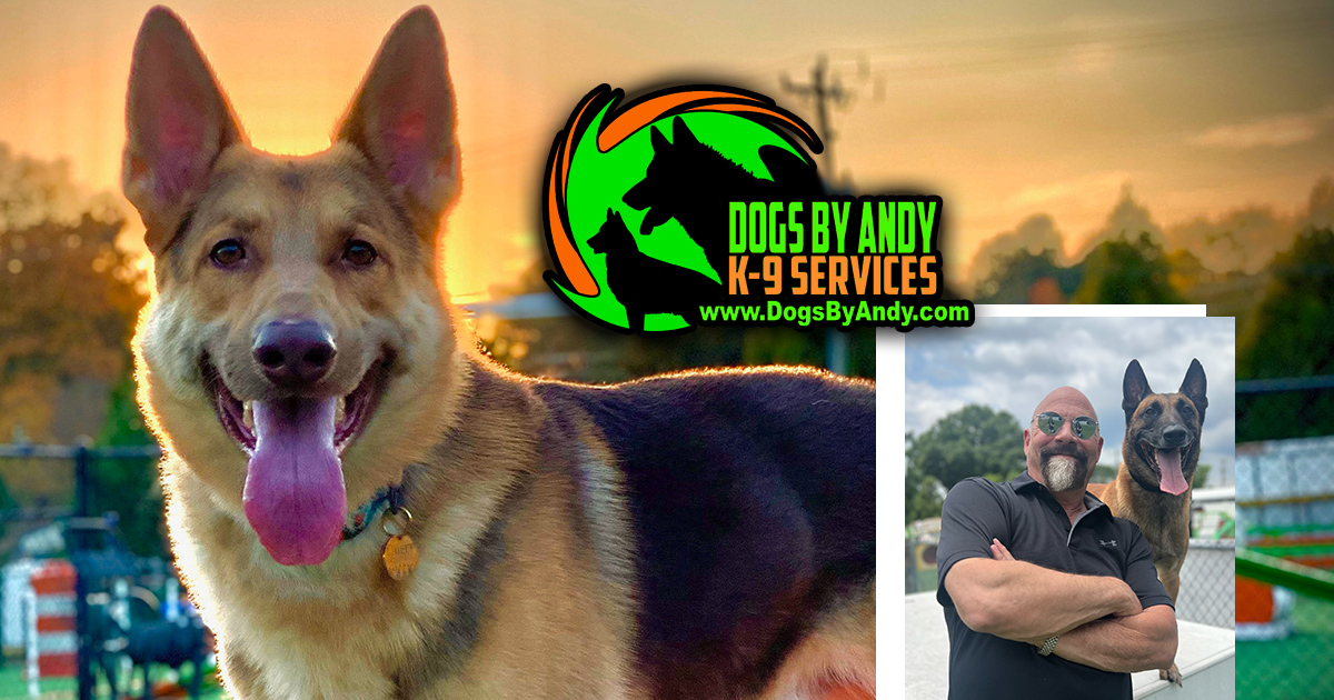 Dogs By Andy K-9 Services Mooresville