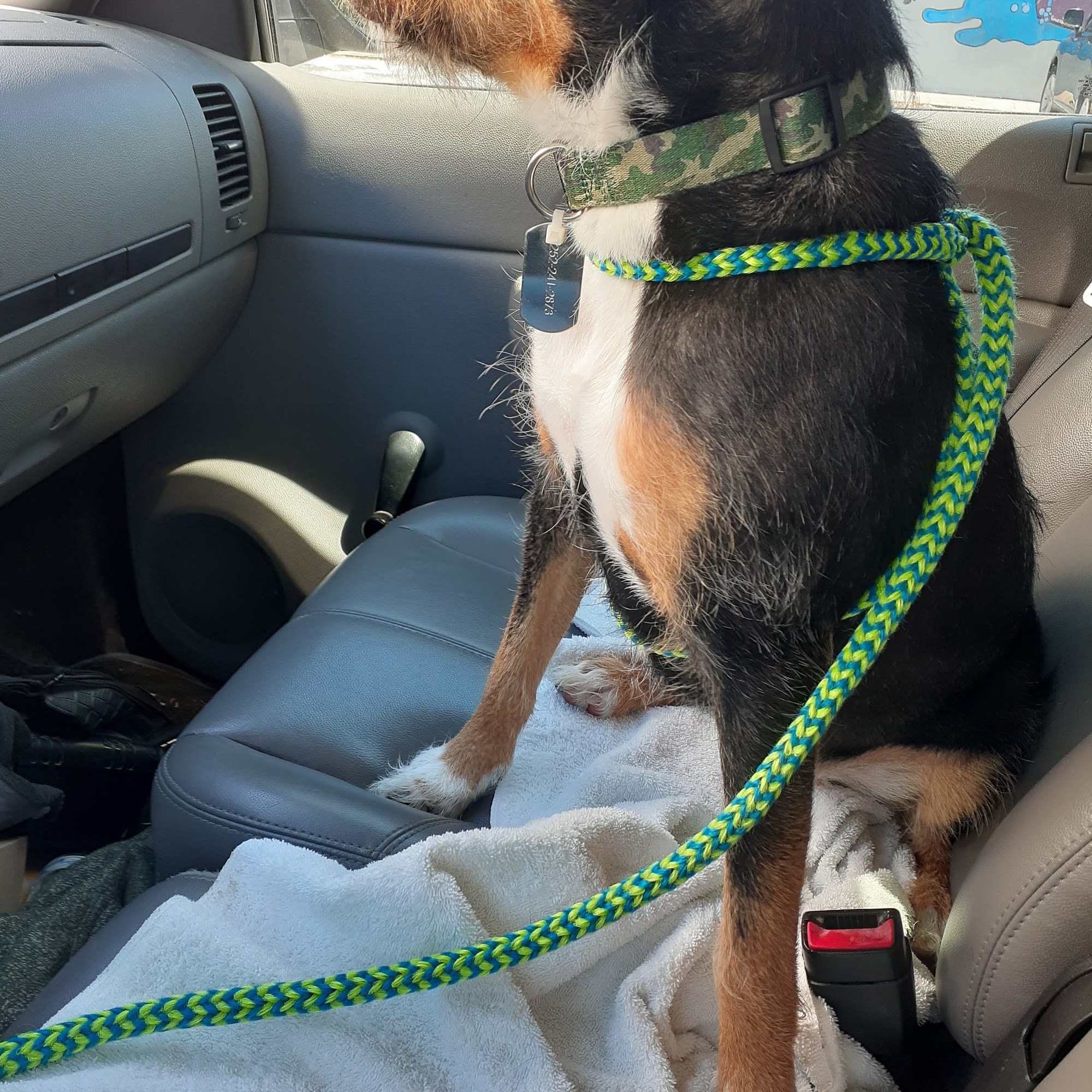 Shampooches Self-Service Dog Wash & Boutique Morehead City