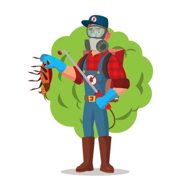 All American Pest Control