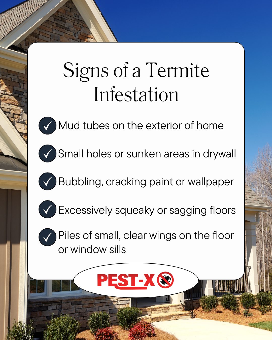 X Team Termite & Pest Control