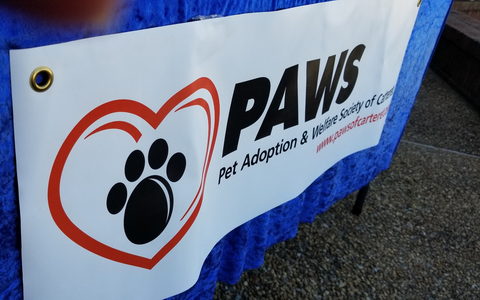 Paws Pet Adoption Center Morehead City