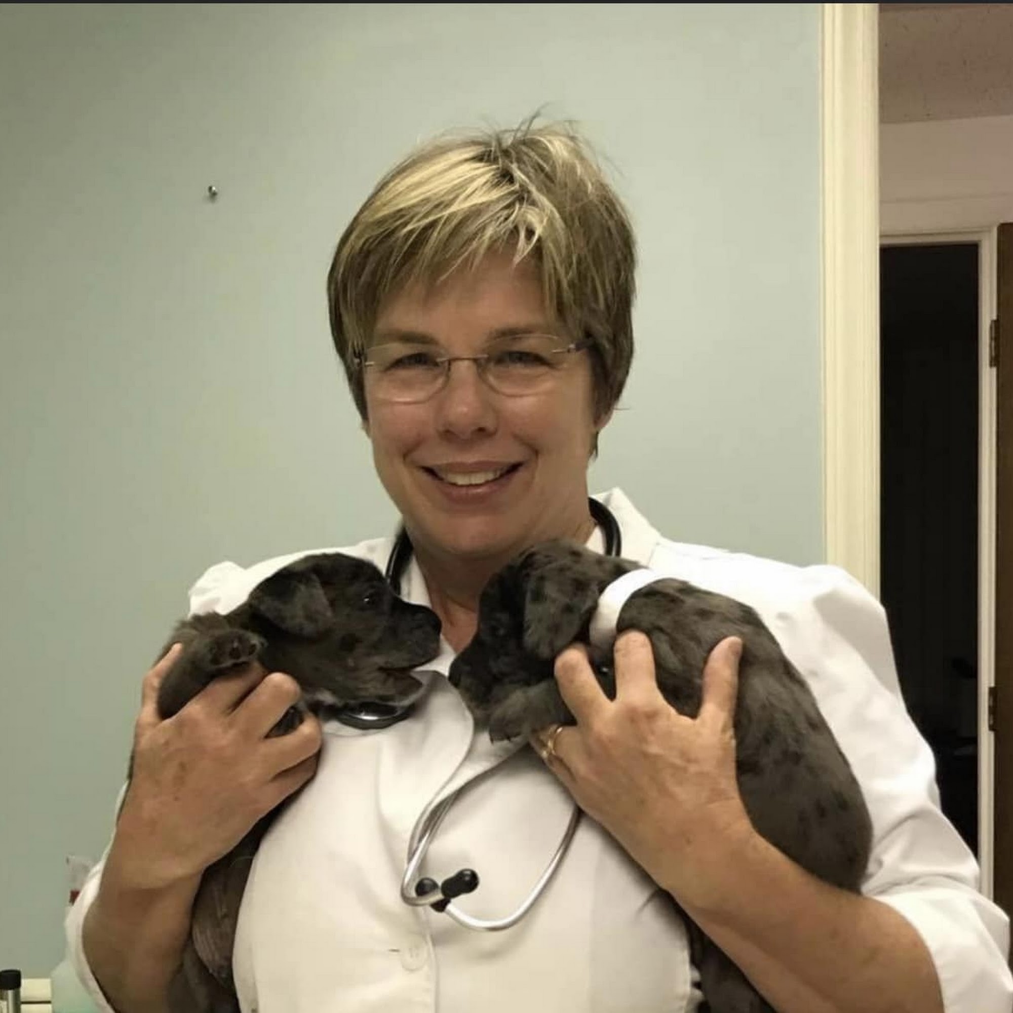 Burke Animal Clinic Morganton