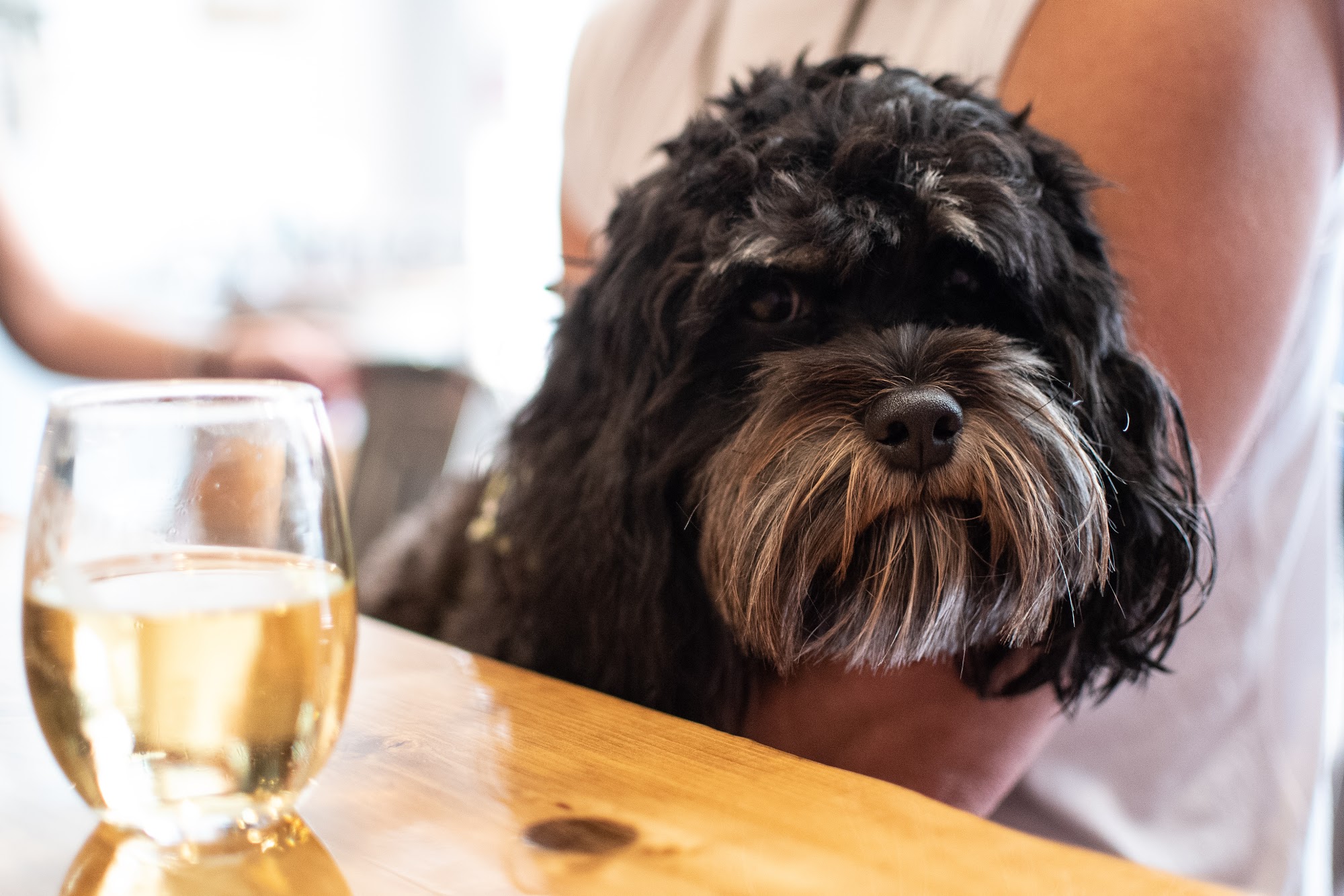 Uncorked in Mayberry Wine & Craft Beer Mount Airy