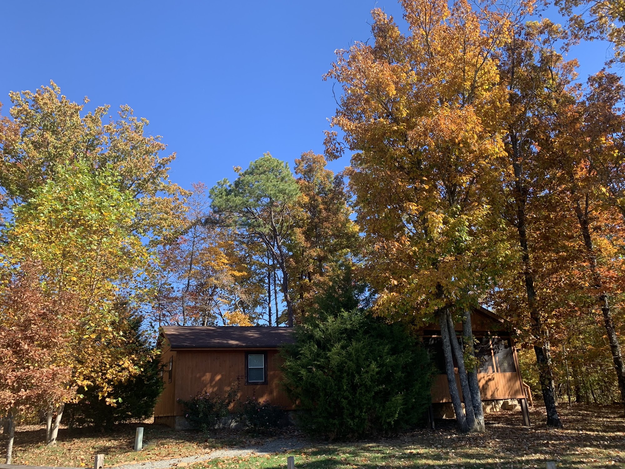 Round Peak Vineyards Mount Airy