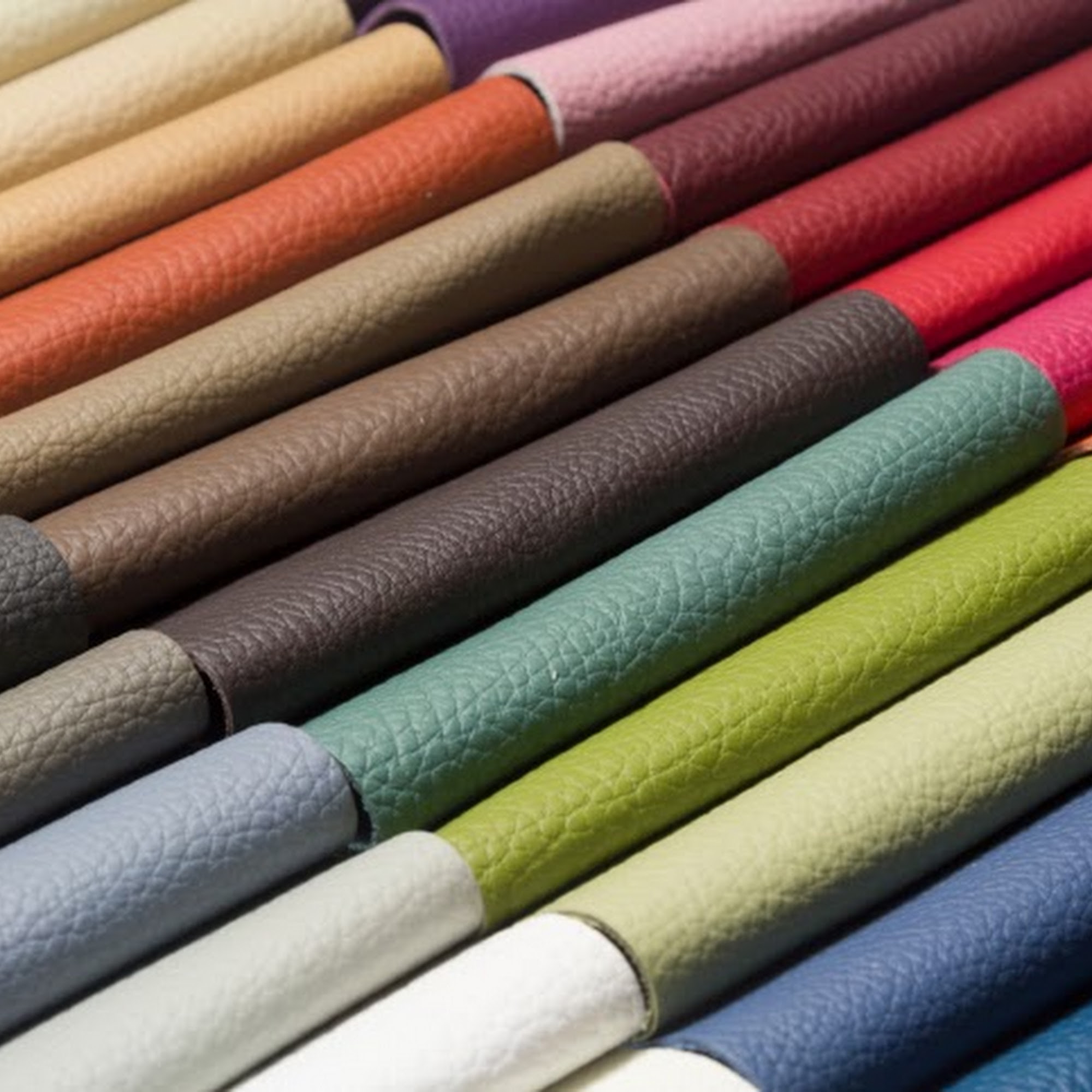 Willow Tex Mount Airy