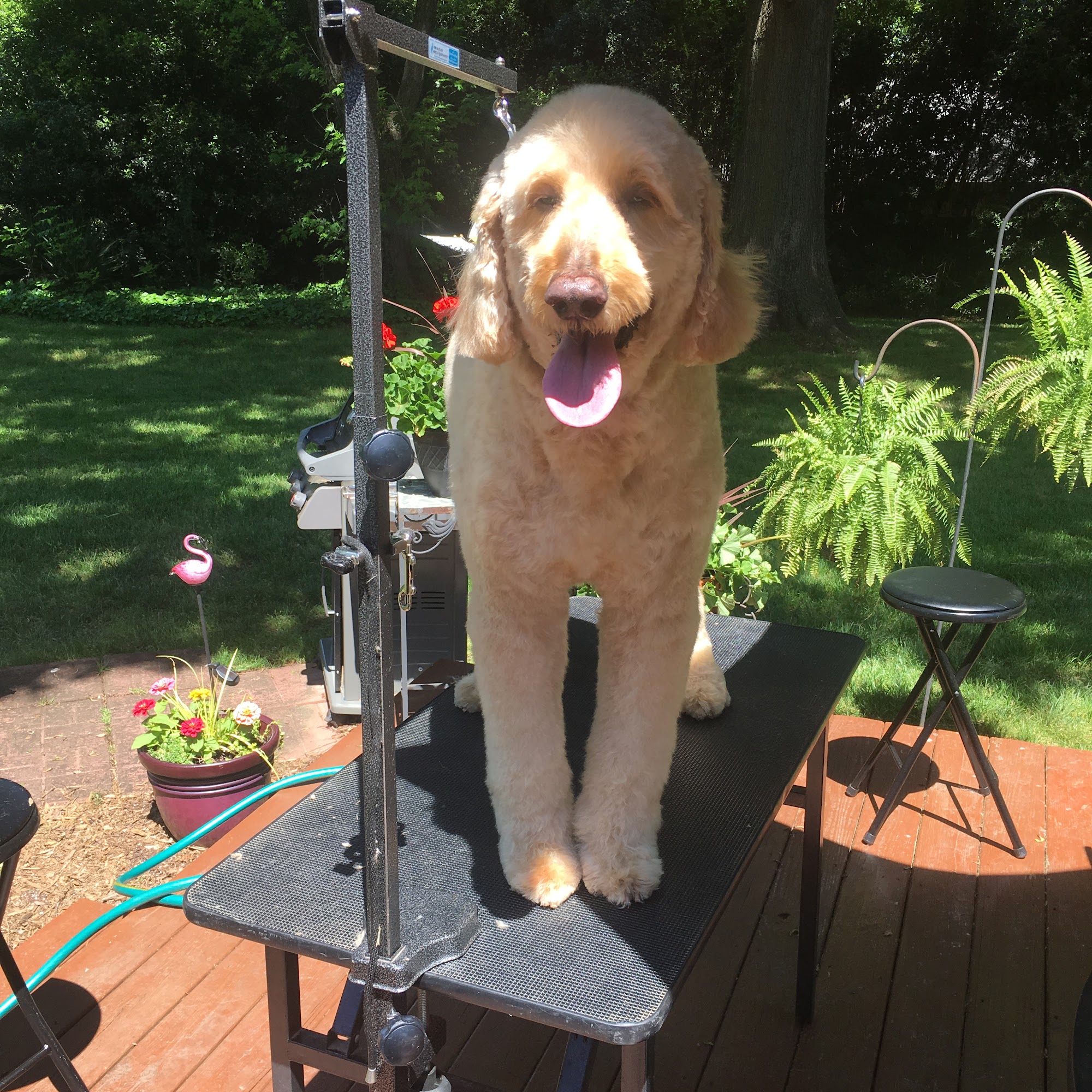 Shear Essence Mount Holly