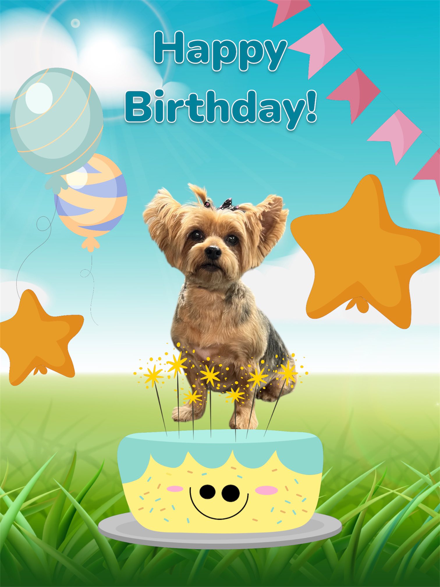 Sassy Pups Grooming Mount Holly