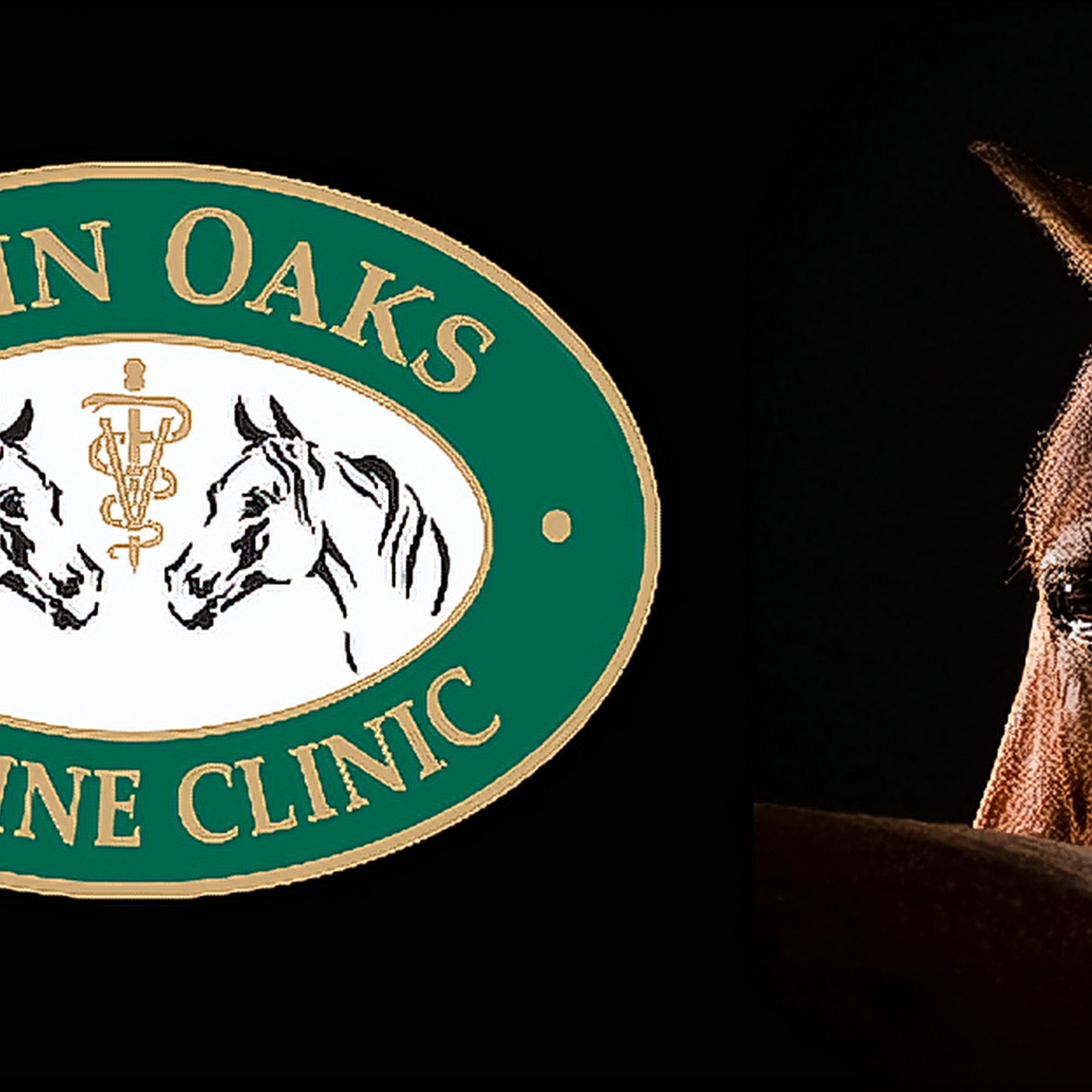 Twin Oaks Equine Clinic Mount Ulla