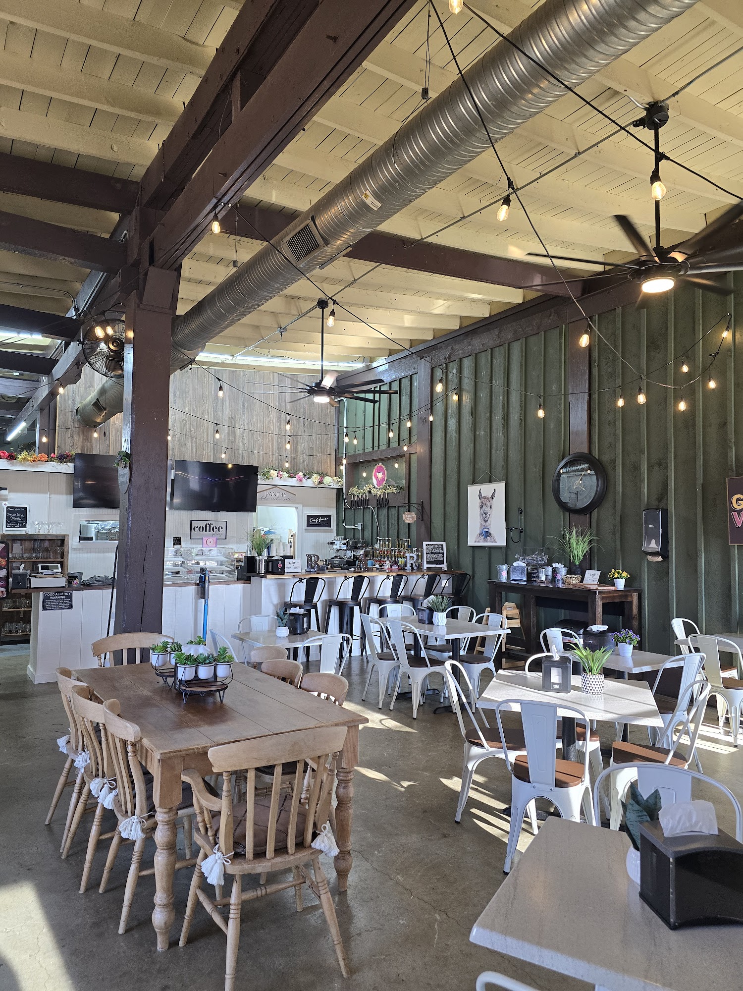 Crafted Dough Murphy