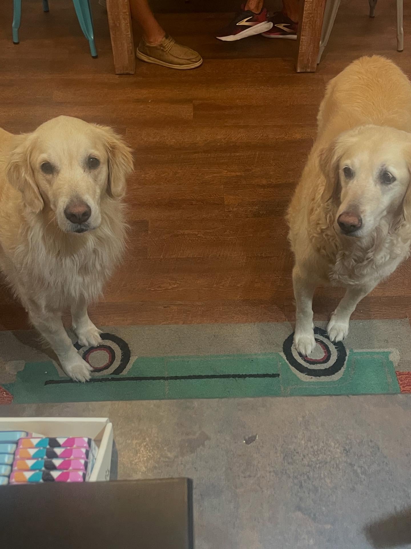 Morning View Coffee House Nags Head