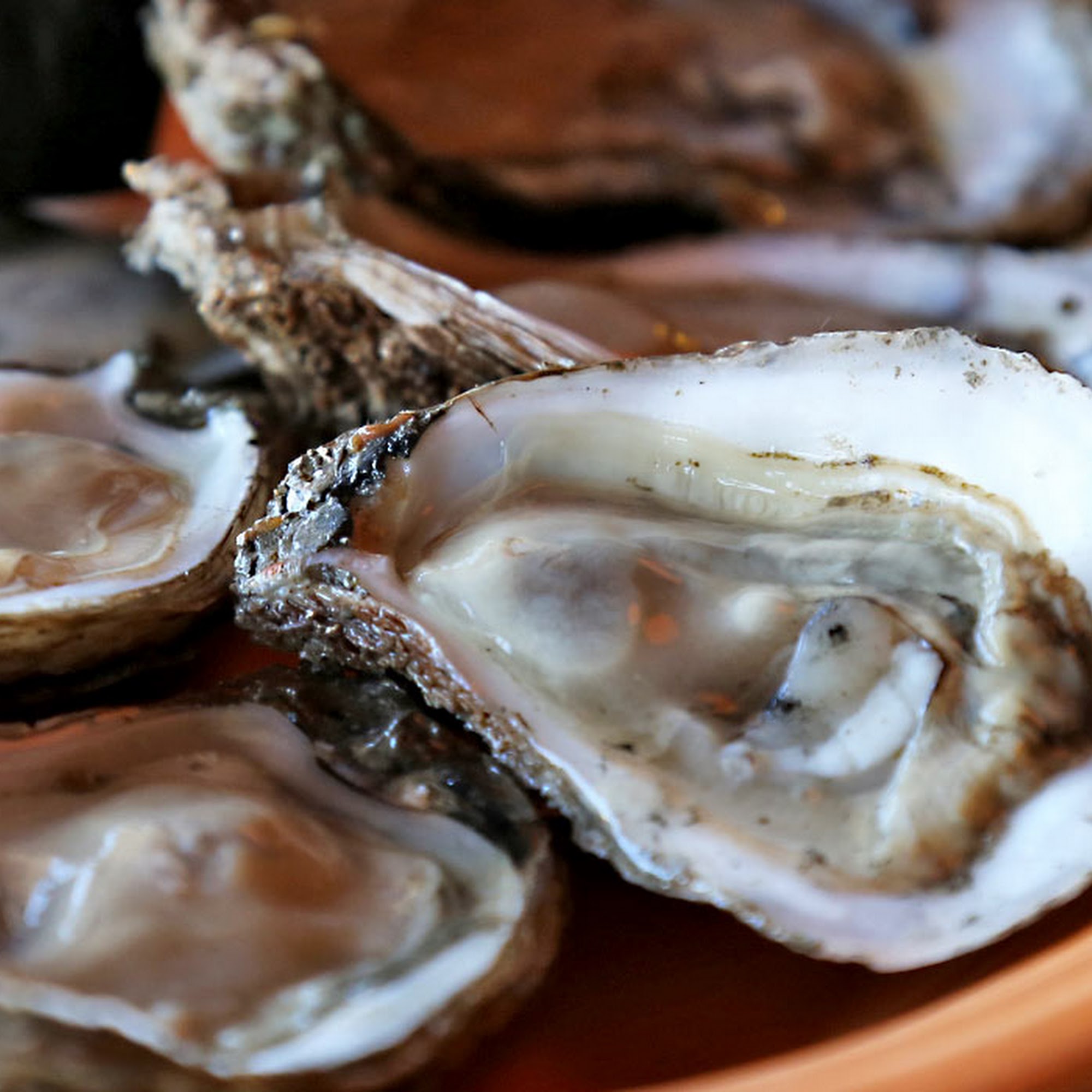 Red Drum Grill & Tap House Nags Head