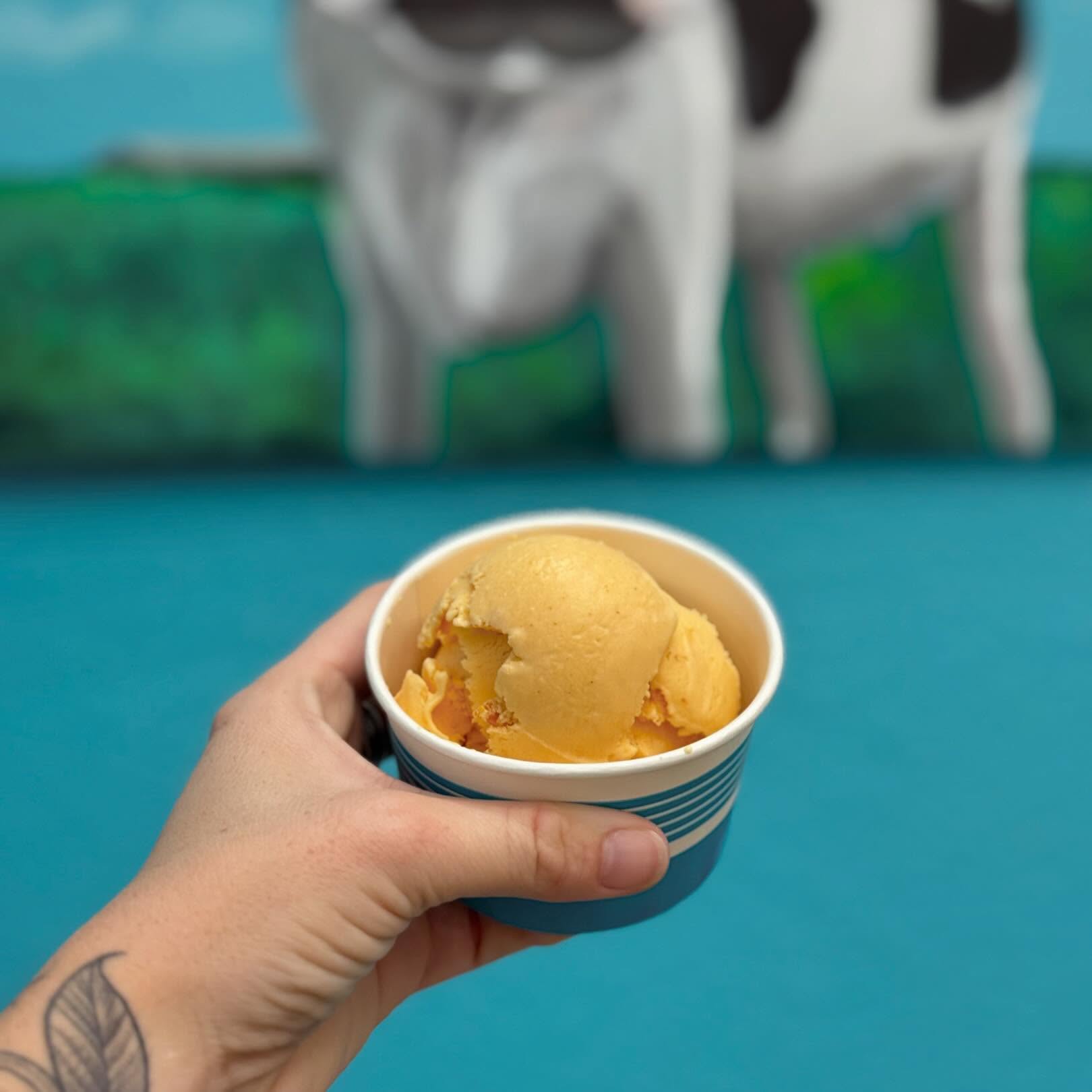 Cookies and Cream Nags Head