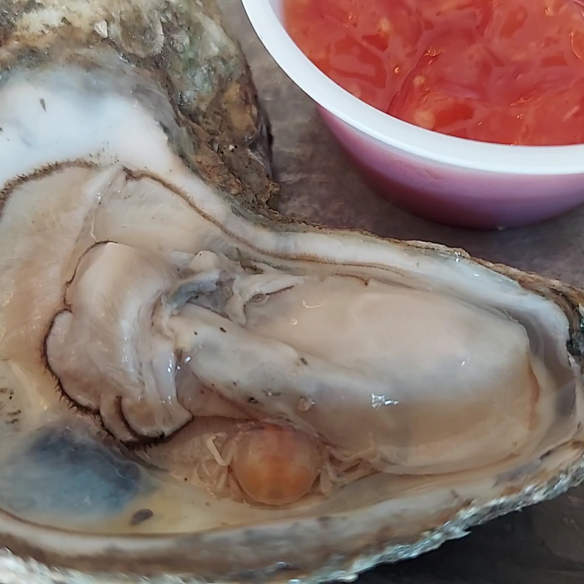 Mj's Raw Bar and Grille New Bern
