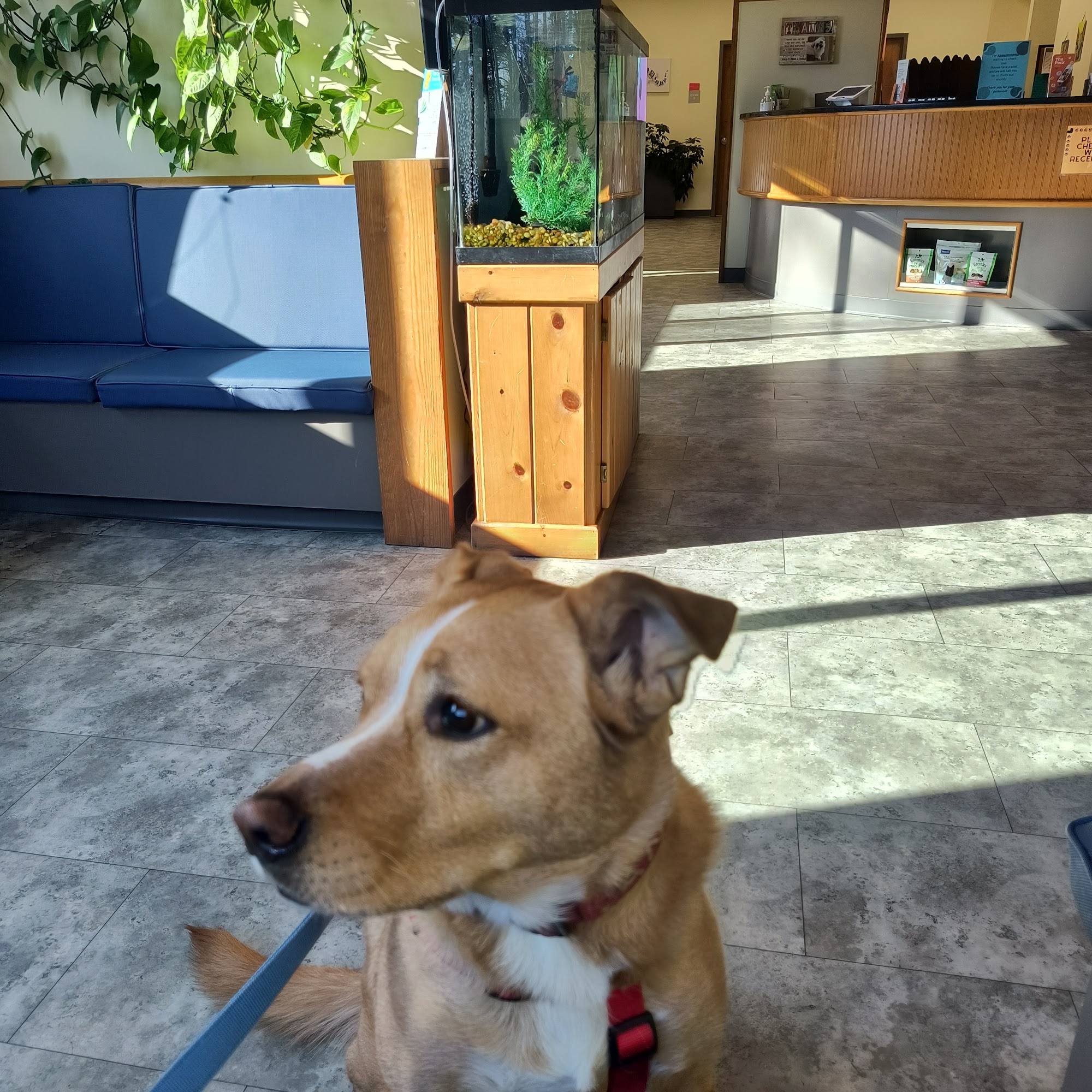 Craven Animal Hospital New Bern