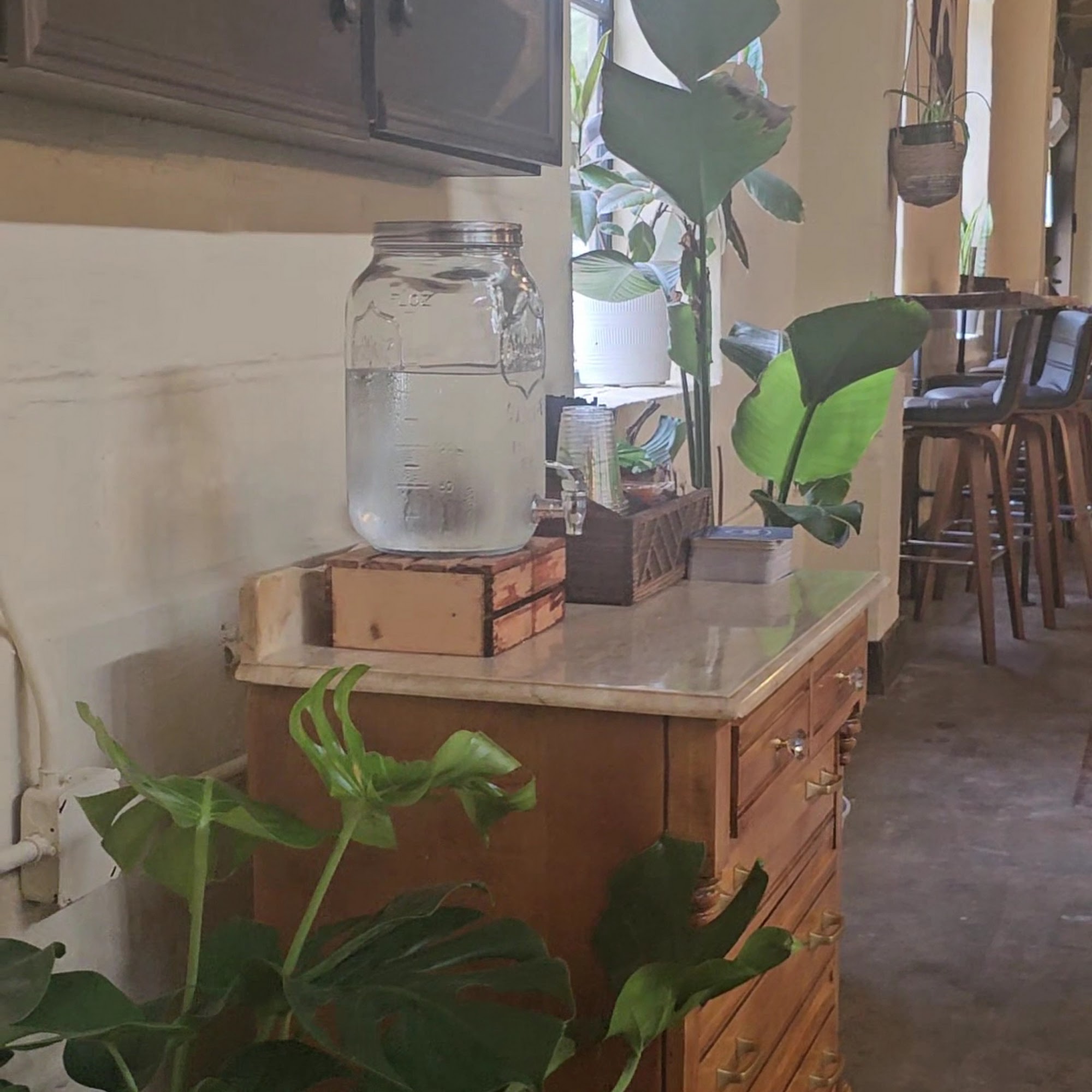 Firefly Cafe New Bern