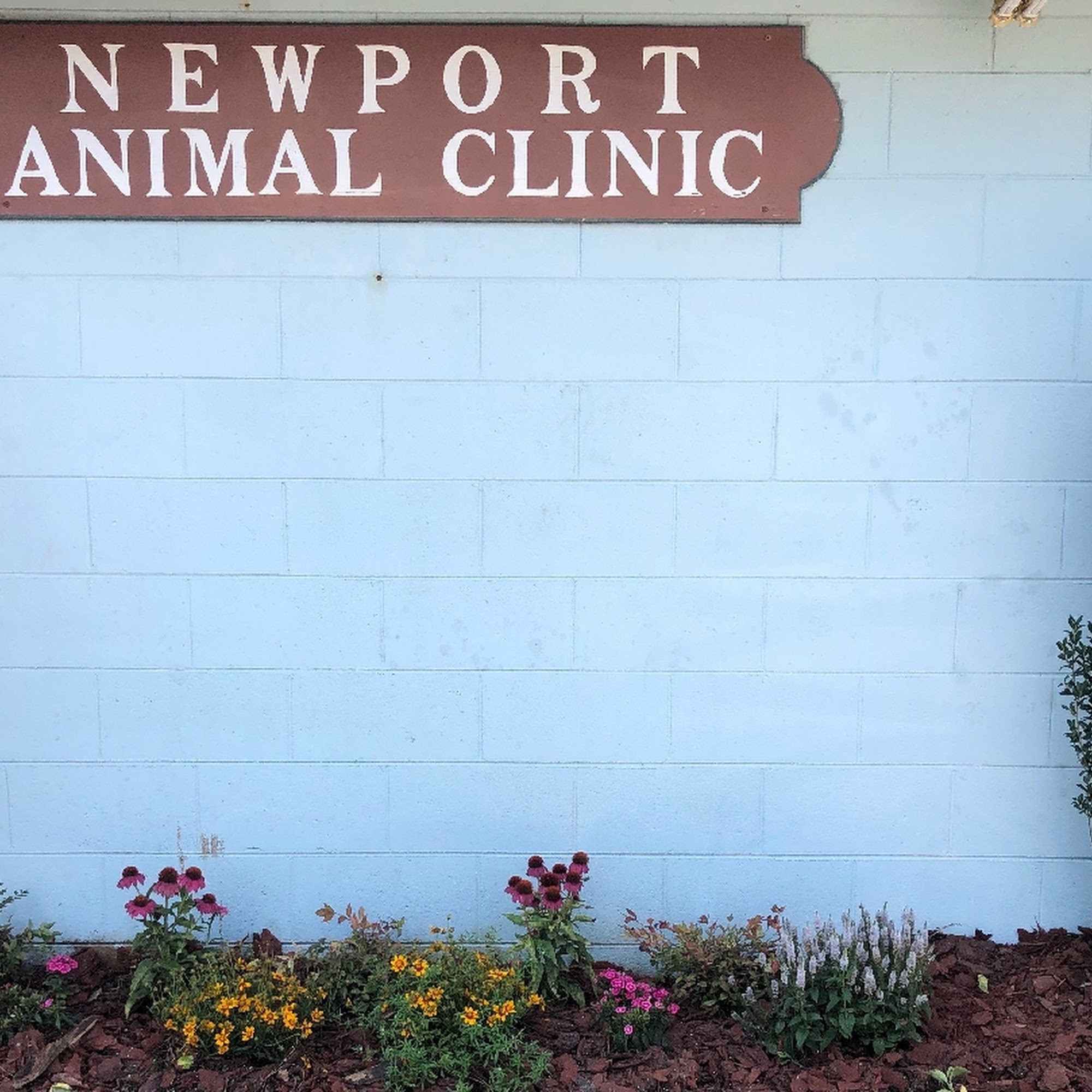 Newport Animal Clinic Newport