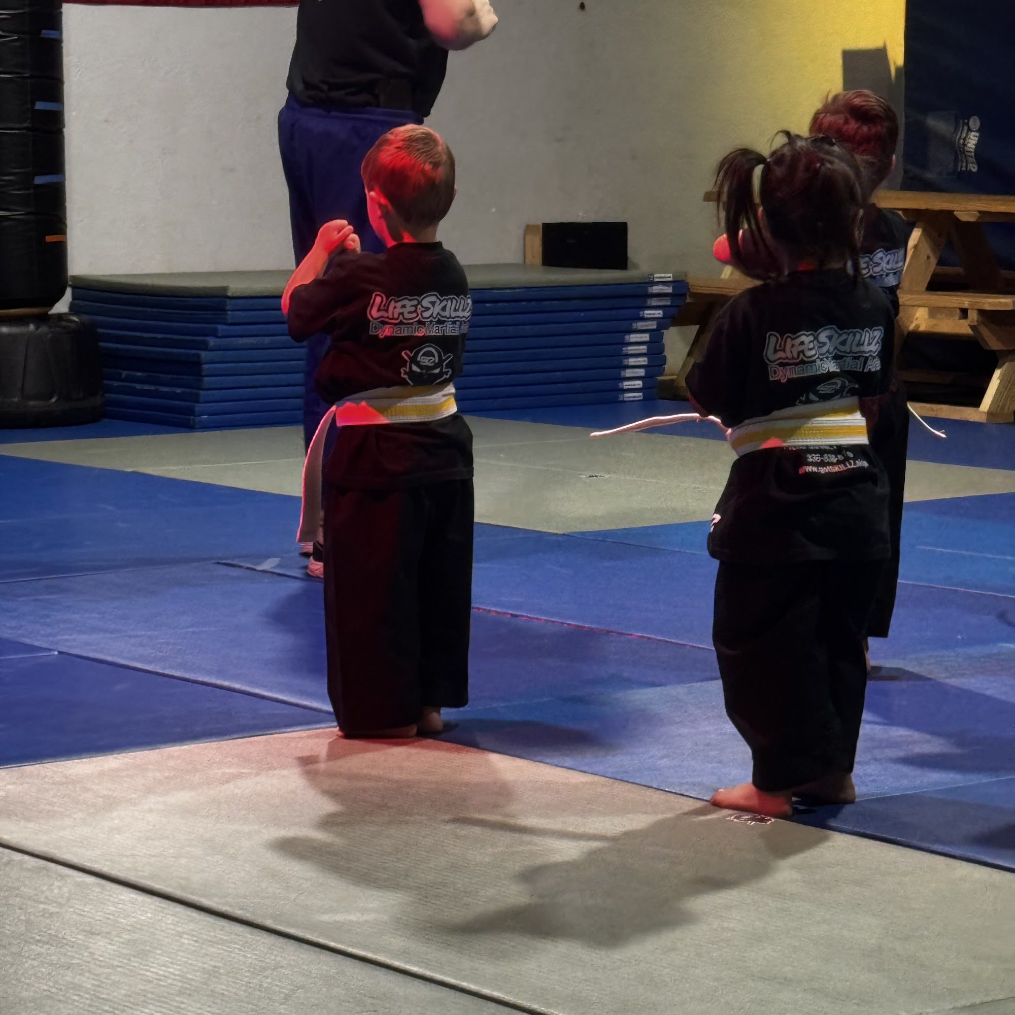 LifeSKILLZ Ultimate Martial Arts