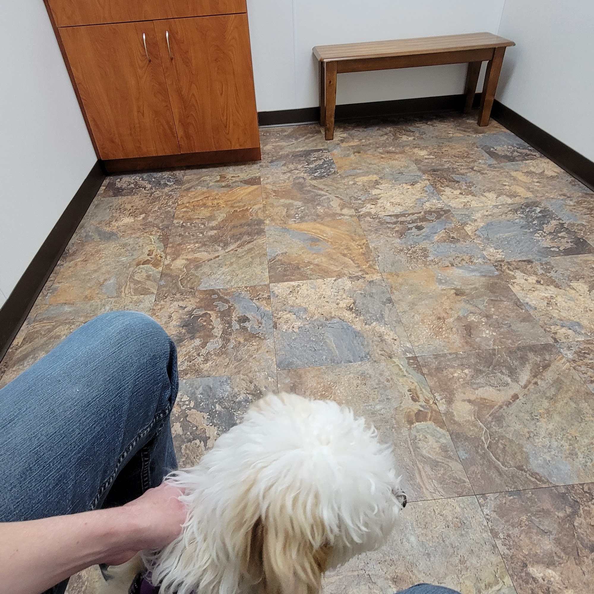 King's Crossing Animal Hospital Oak Ridge