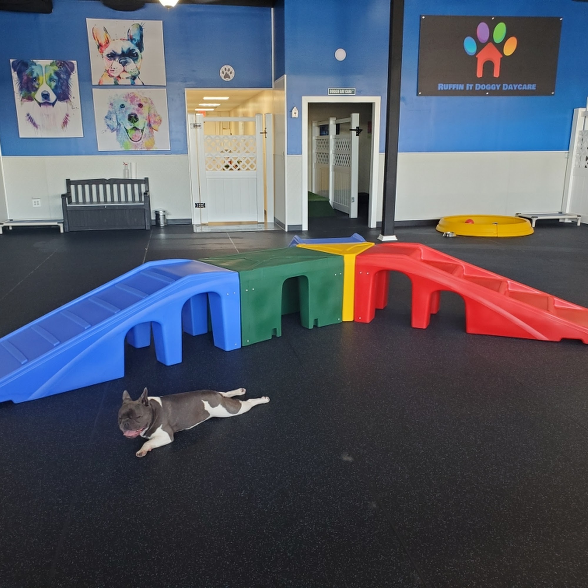 Ruffin It Doggy Daycare and Grooming LLC Ocean Isle Beach