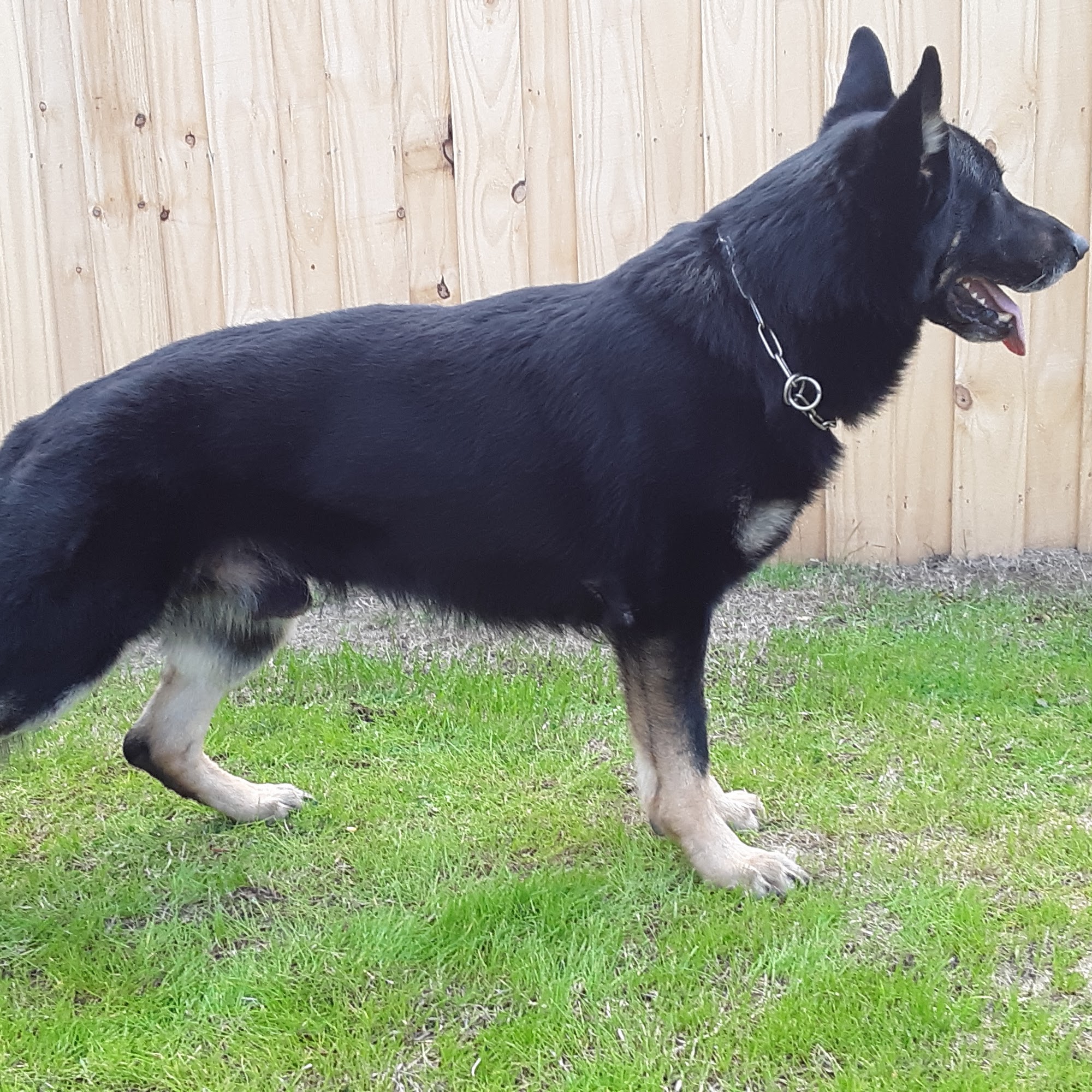 King Ranch K9 Resort Parkton