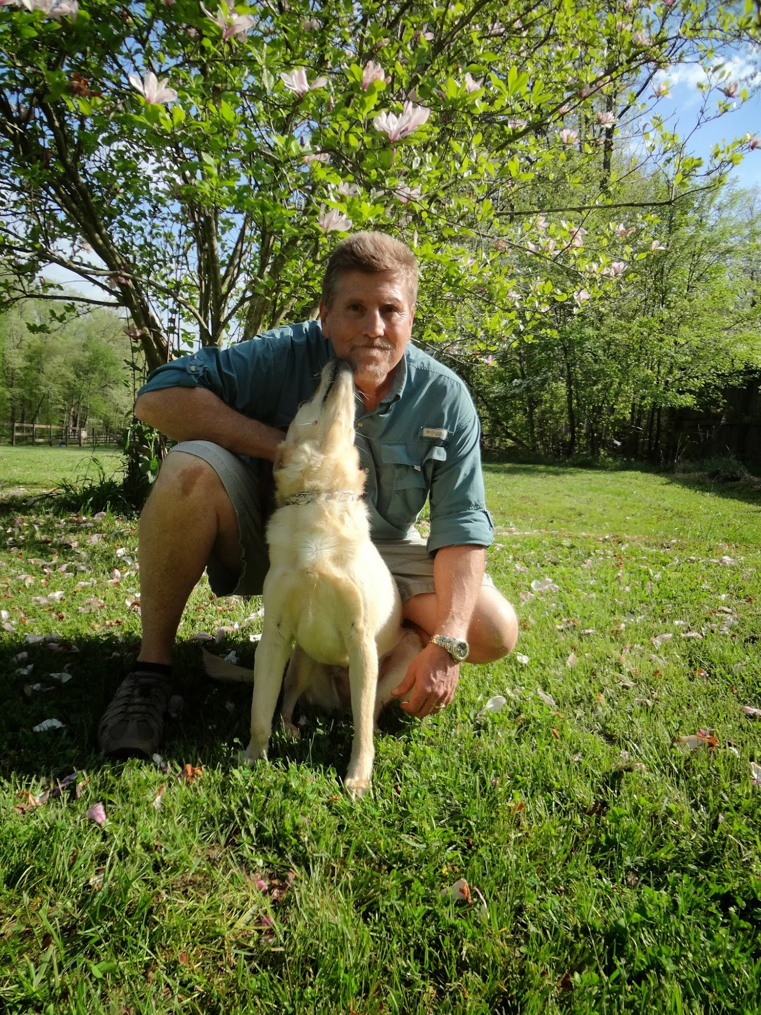 Jim Hodges Dog Training Pfafftown