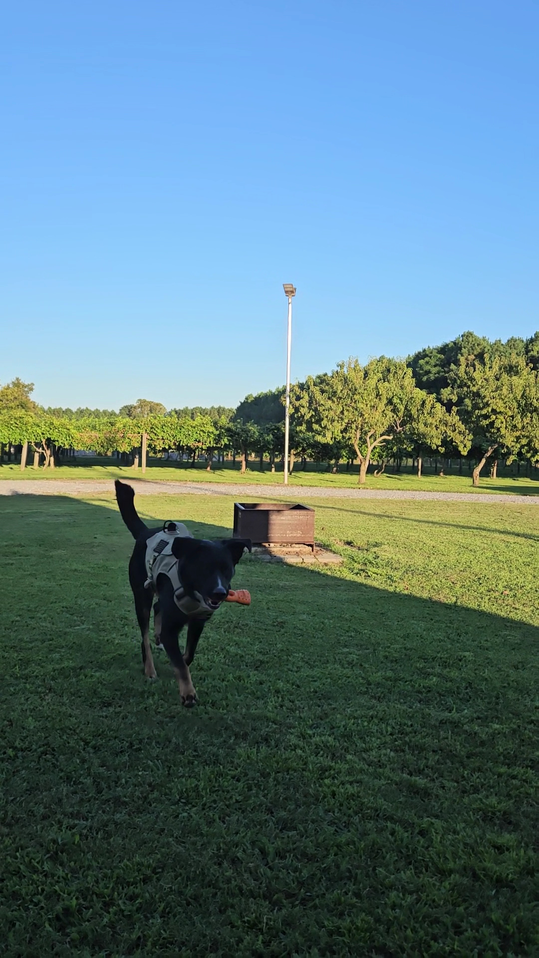 A Secret Garden Winery Menu