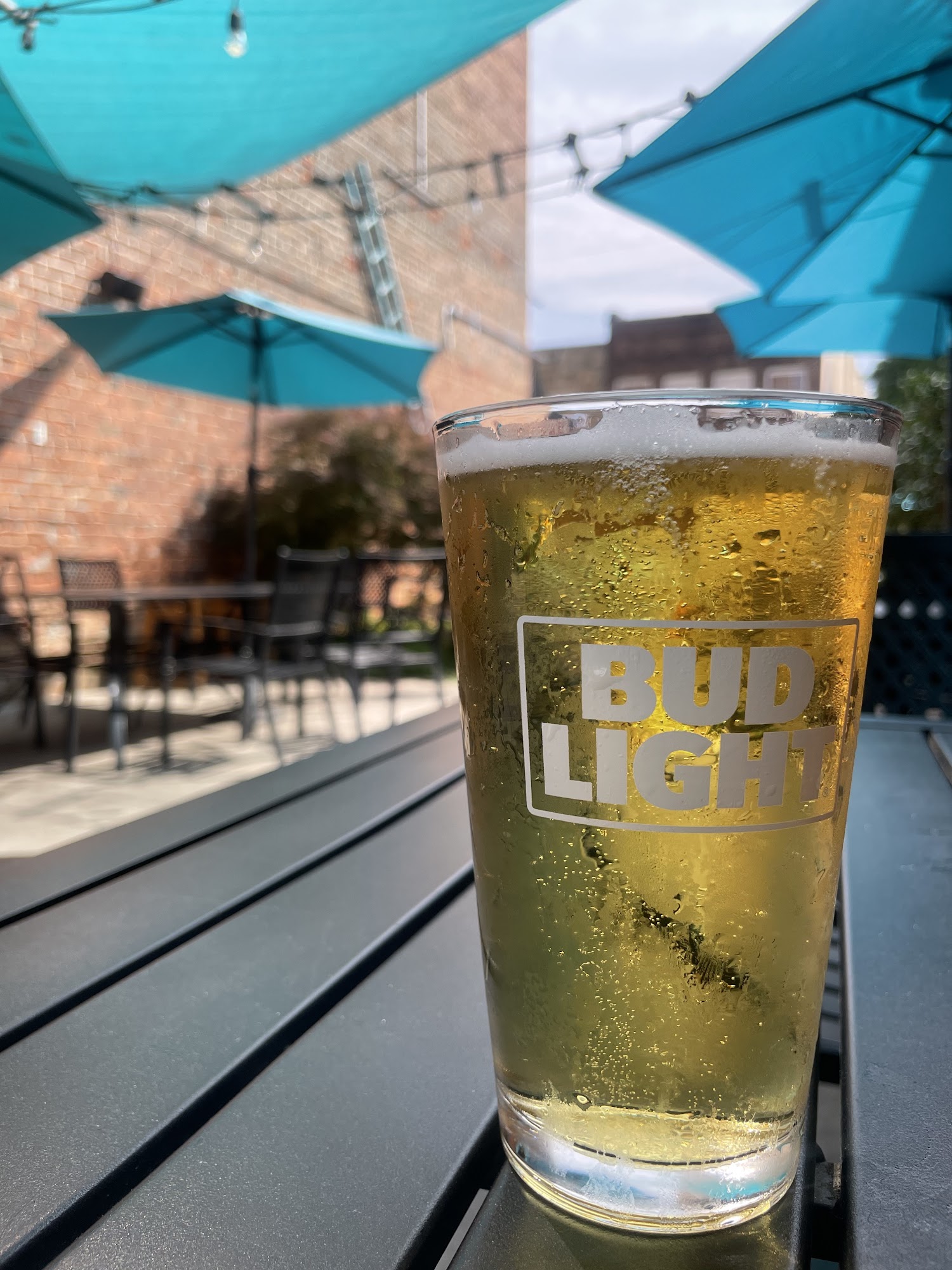 The Tilted Ladder Pilot Mountain