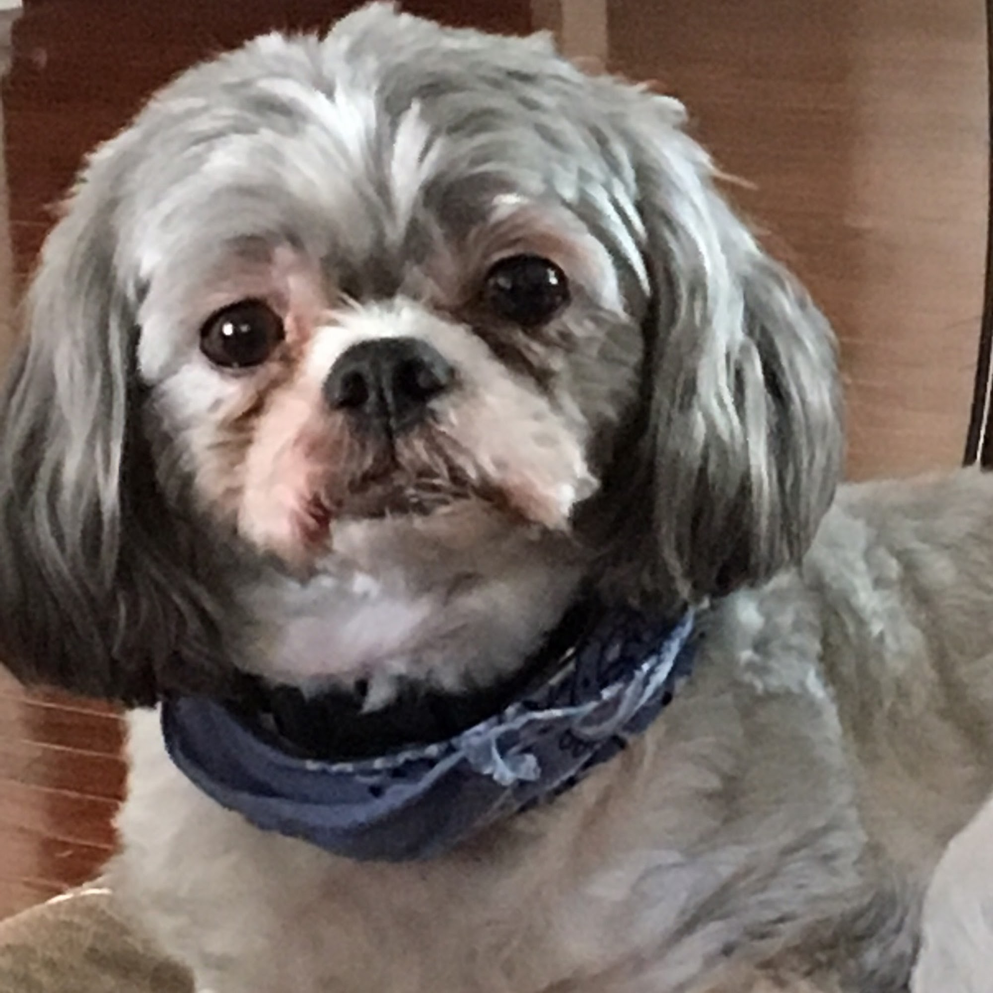 Stand For Animals Veterinary Clinic Pineville