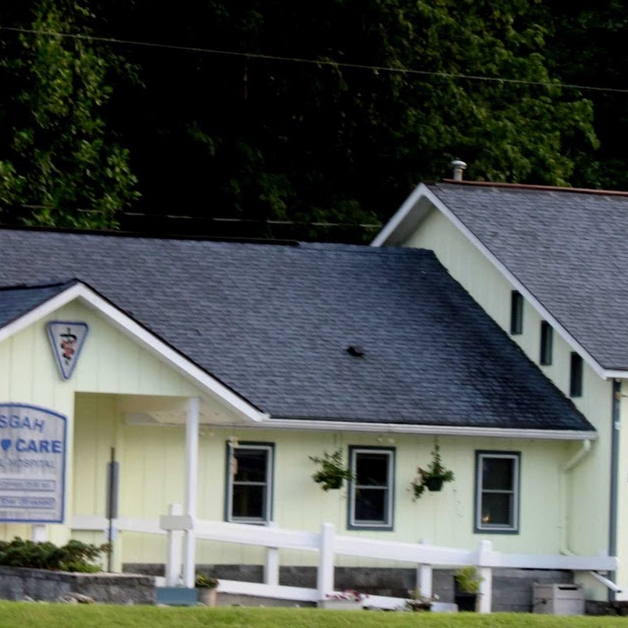 Pisgah Pet Care Animal Hospital Pisgah Forest