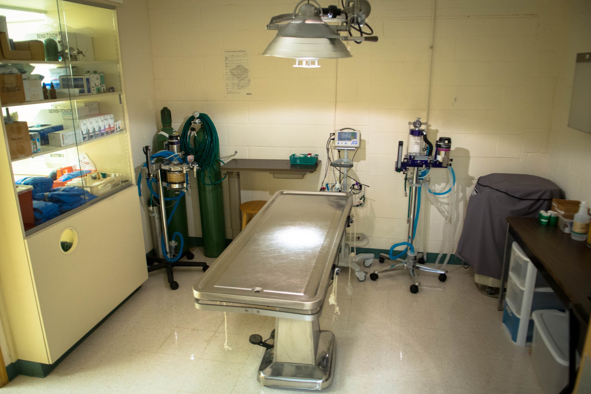 Hill Creek Veterinary Hospital Pittsboro