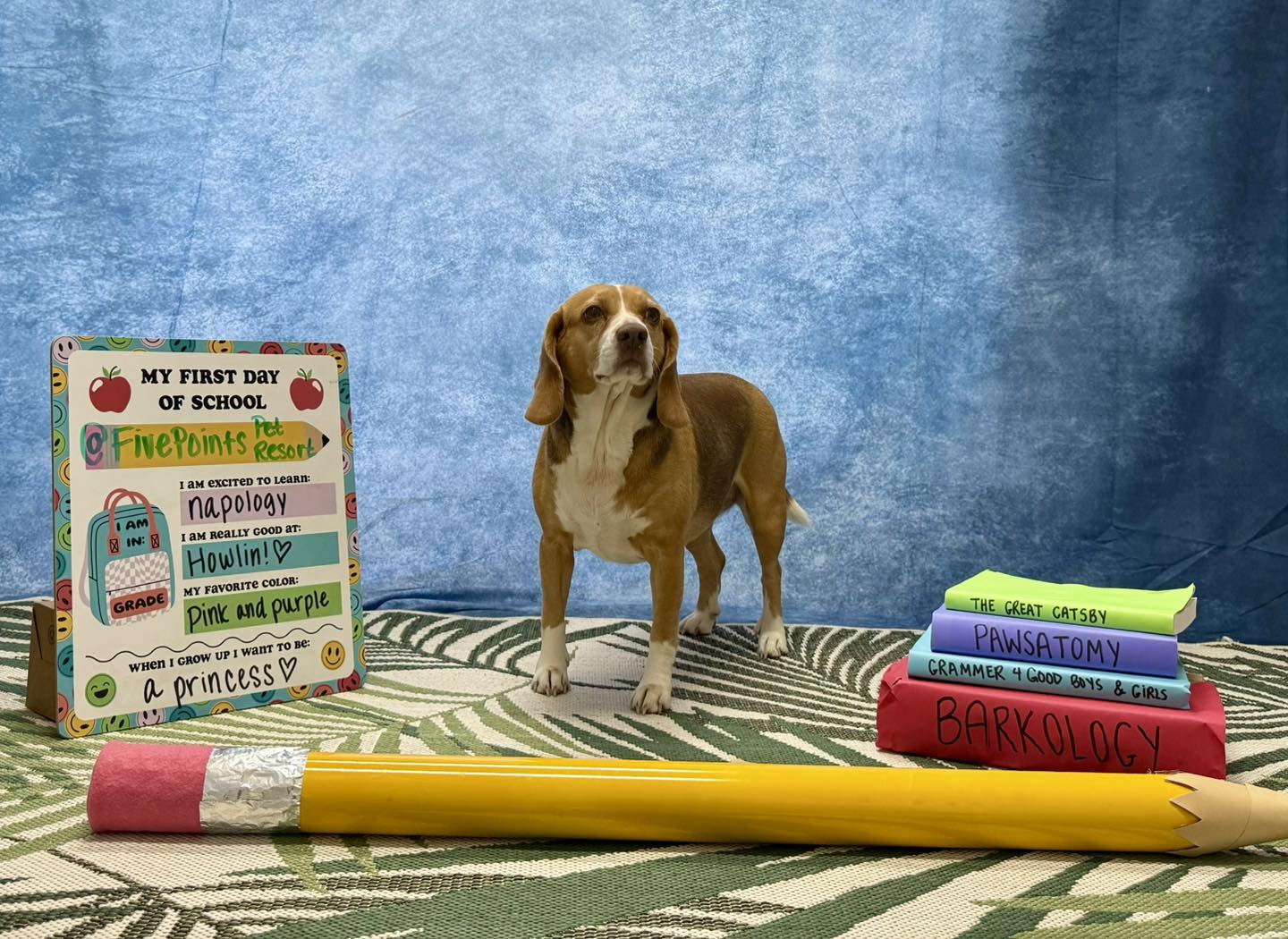 Five Points Pet Resort Raeford