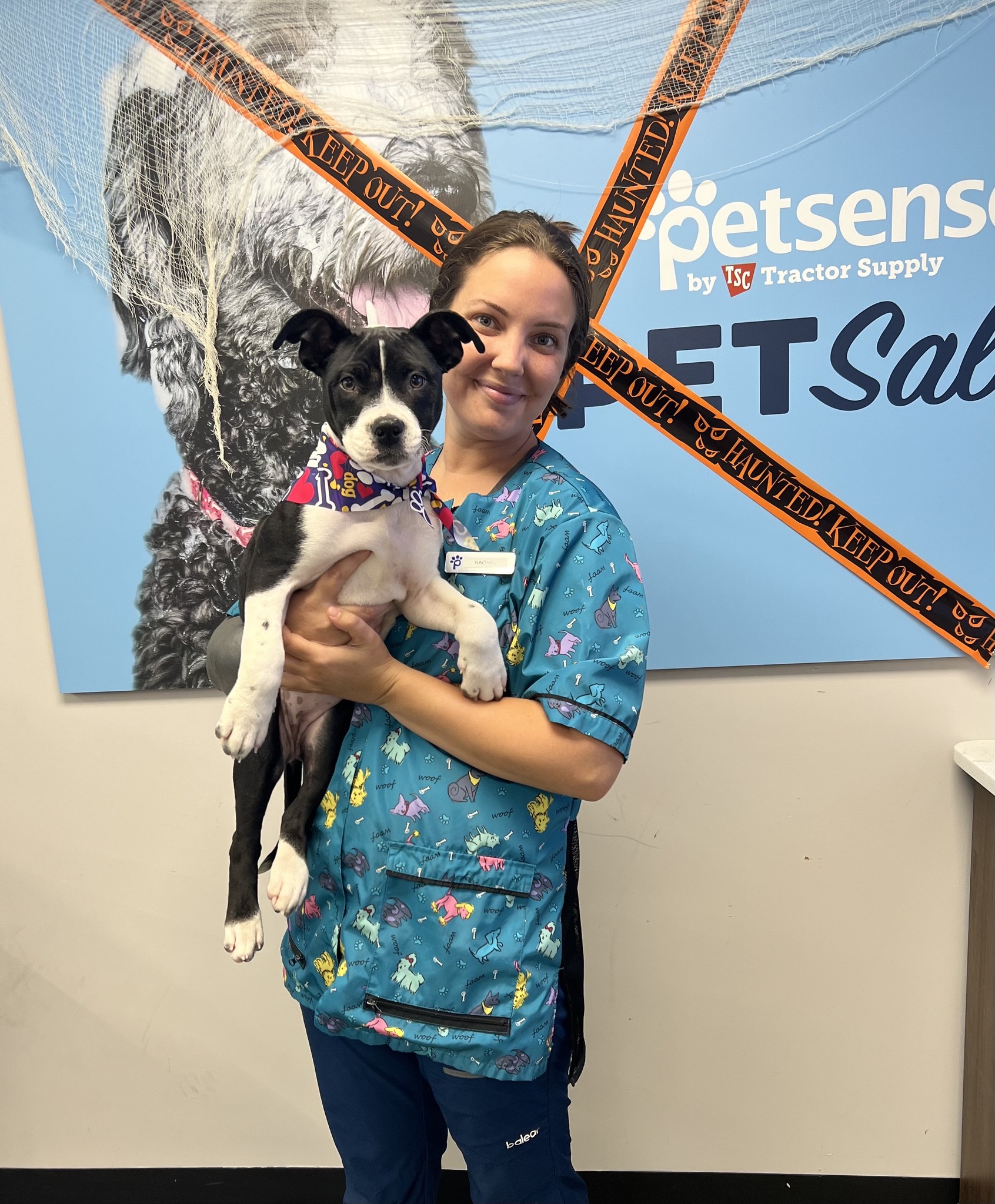 Petsense by Tractor Supply Raeford