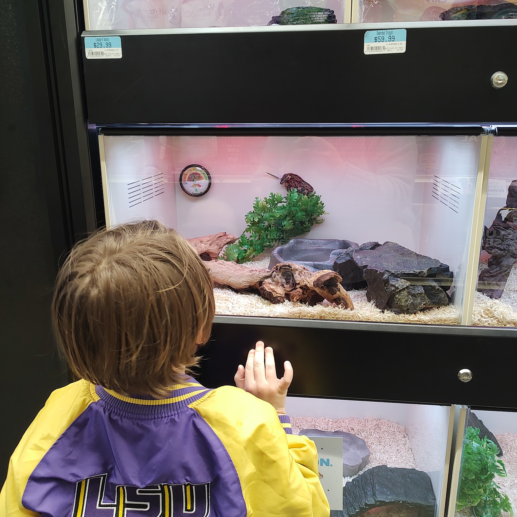 Petsense by Tractor Supply Raeford