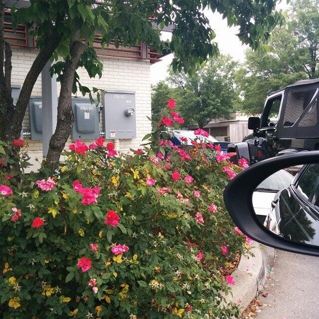 Photo credit: nextdoor