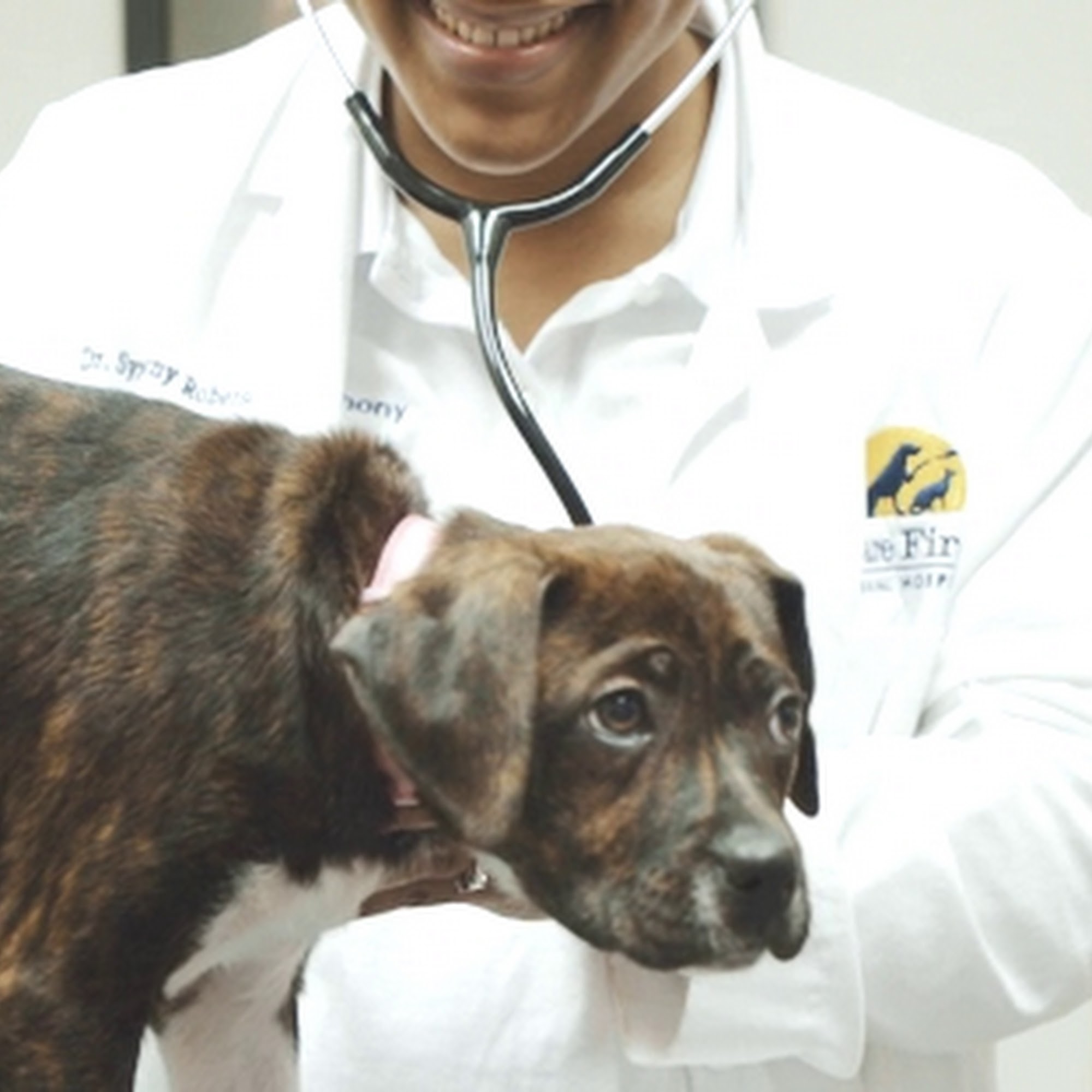 Care First Animal Hospital at Oberlin Raleigh