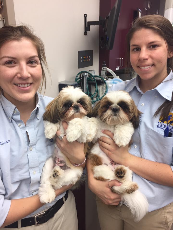 Care First Animal Hospital at Oberlin Raleigh