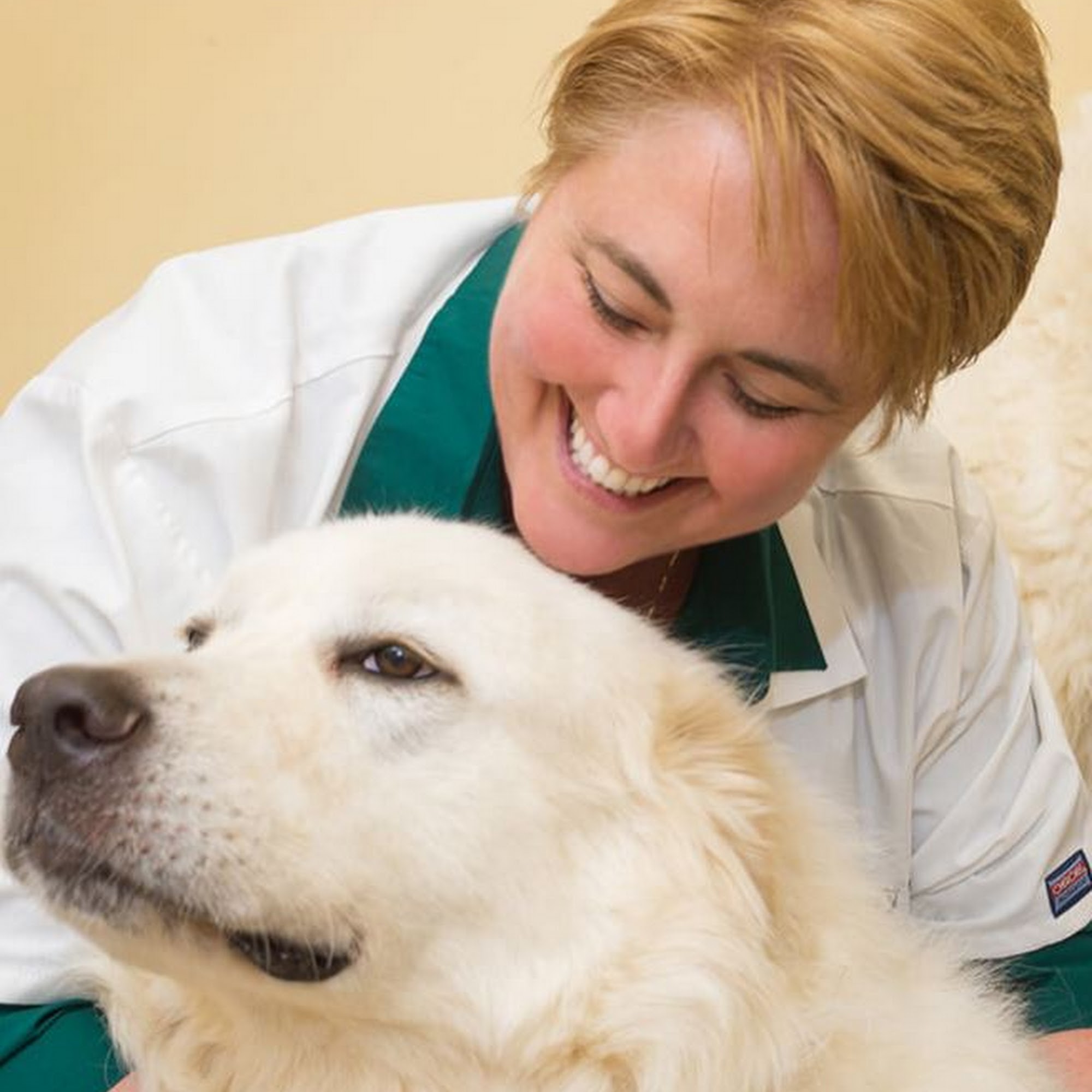 Falls Village Veterinary Hospital Raleigh