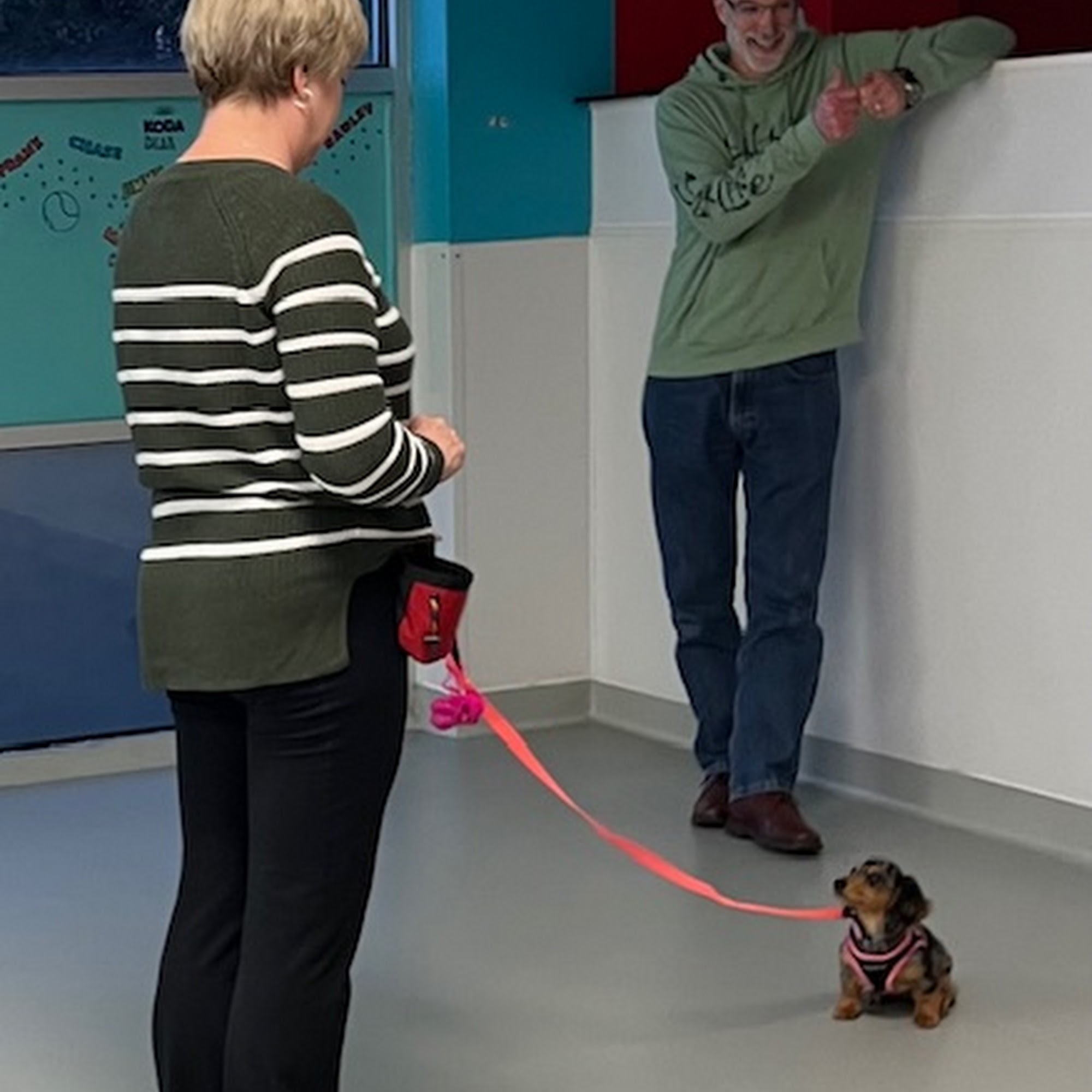 Training Your Best Friend LLC Raleigh