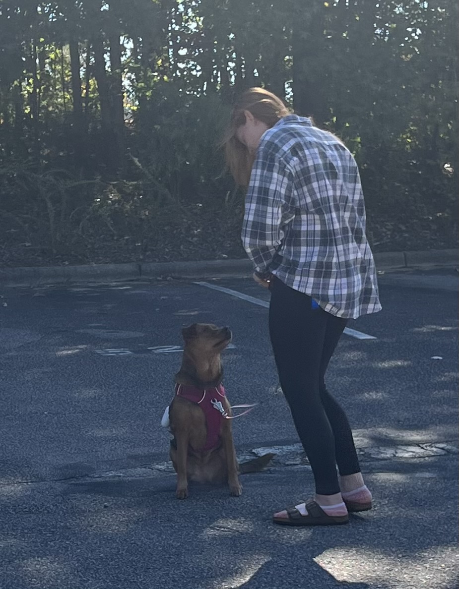 Training Your Best Friend LLC Raleigh