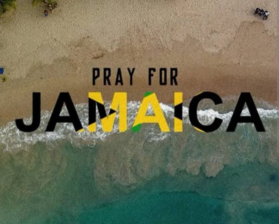 Pampered Pups Mobile Grooming Raleigh