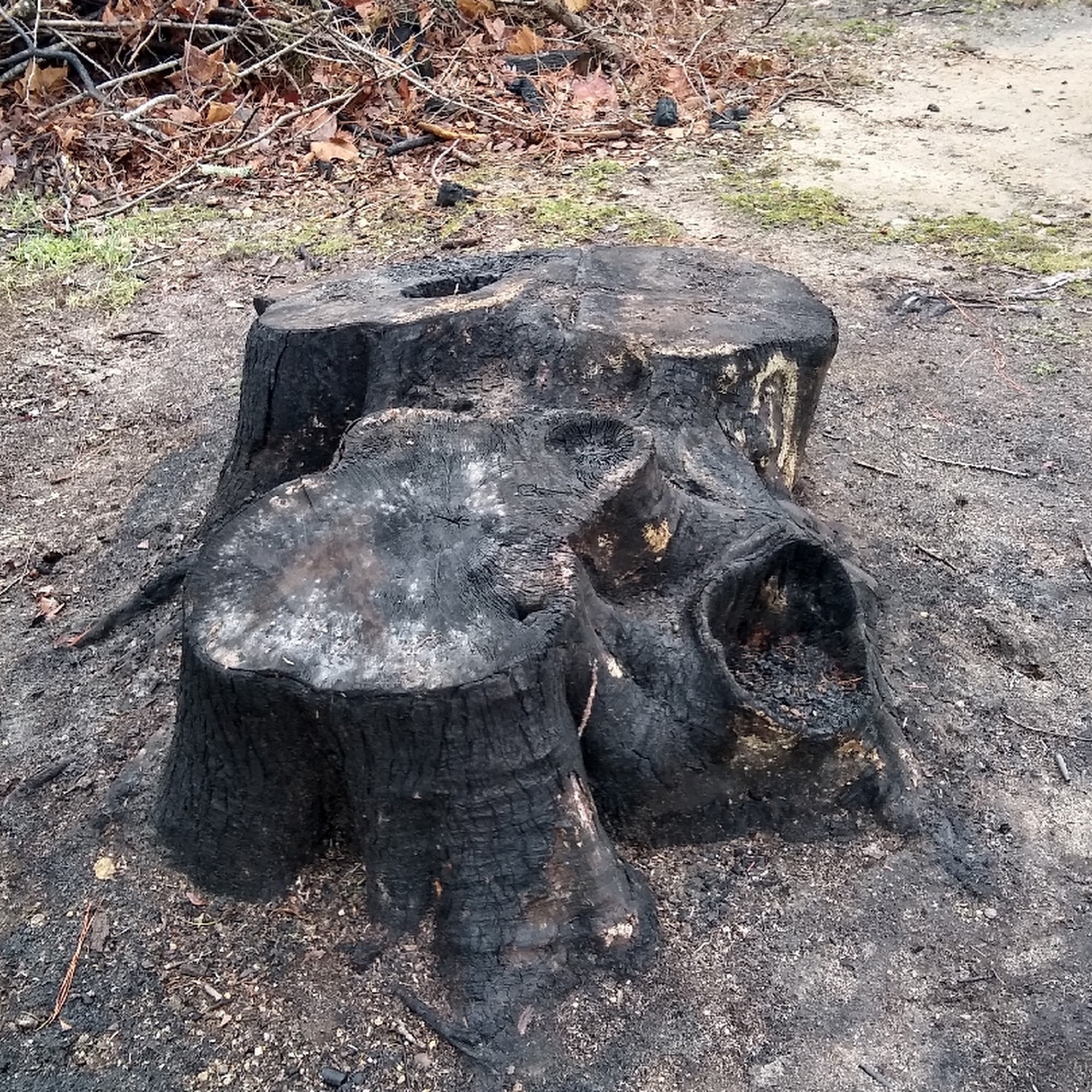 Triangle ServicePros