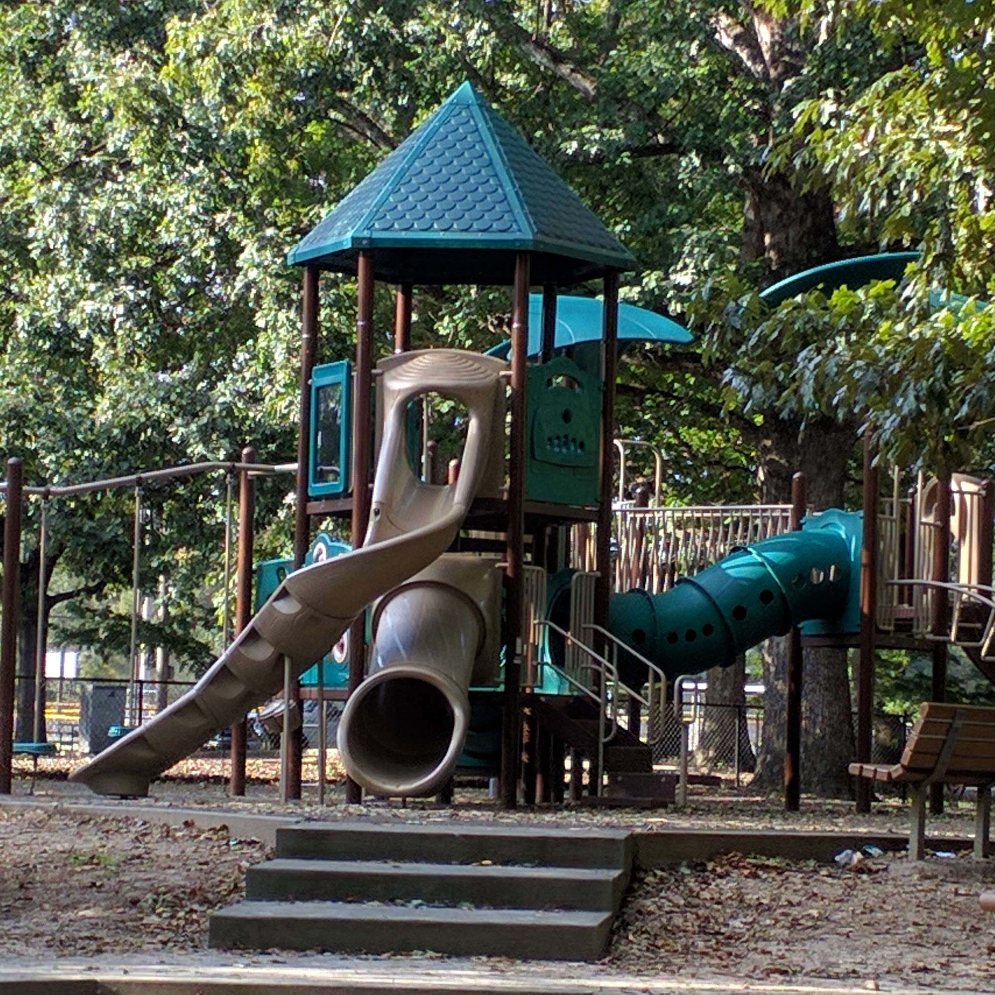 Lions Park 516 Dennis Ave, Raleigh