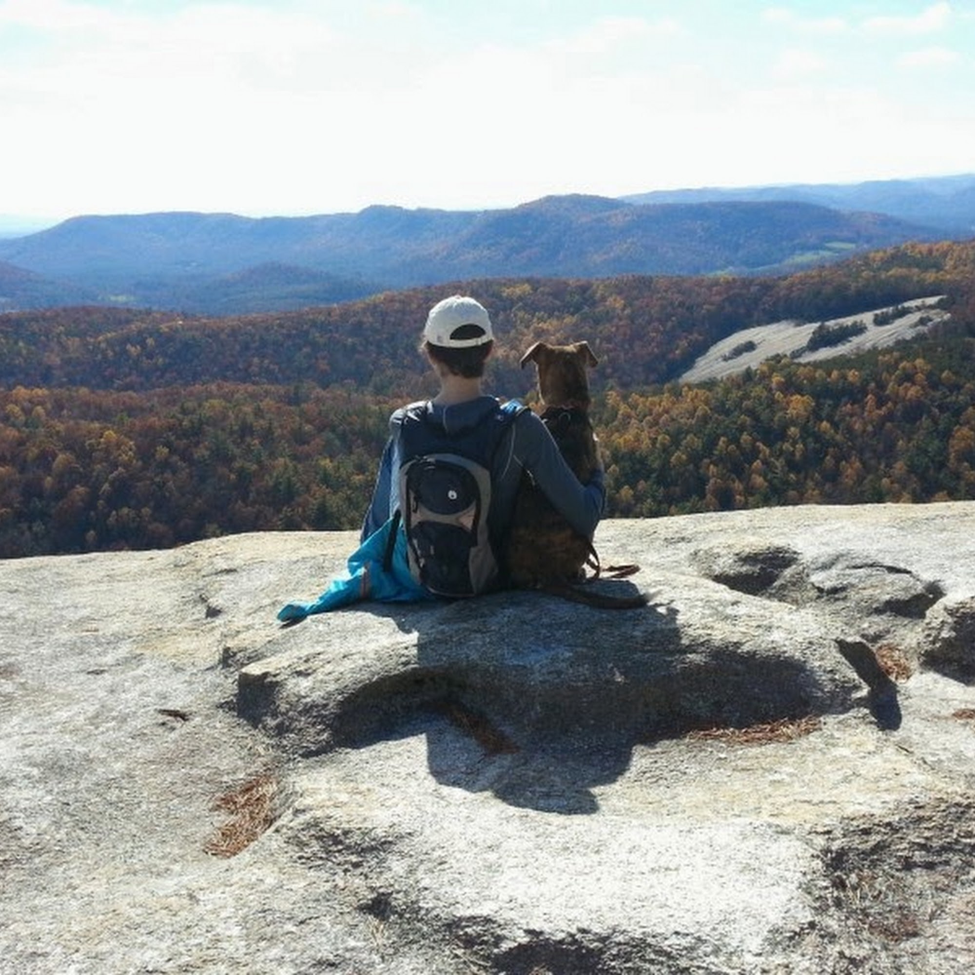 Pointe South Animal Hospital Randleman