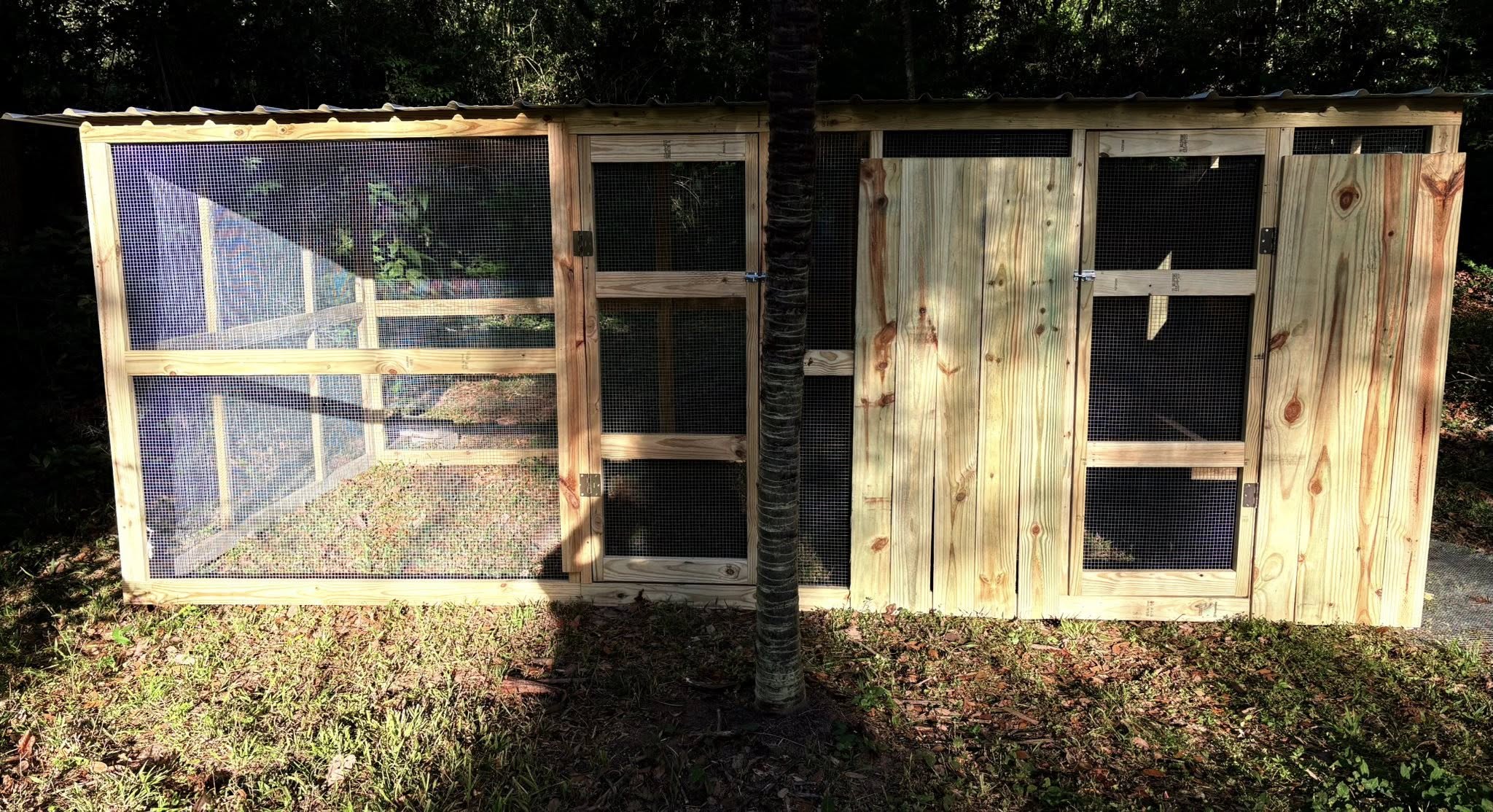 Chicken Partner/Carolina Chickens