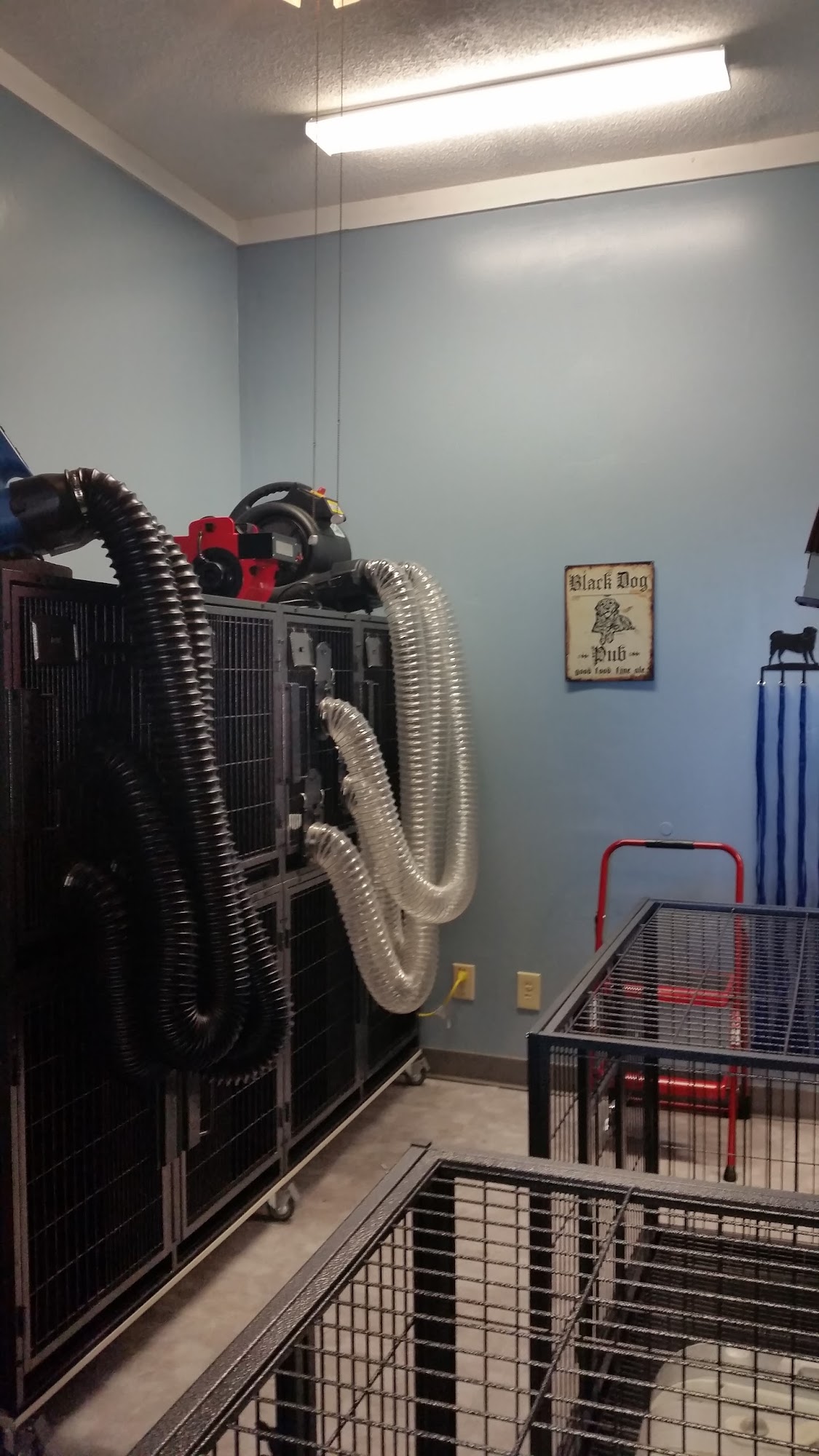 Red Rover Grooming & Day Spa, LLC Reidsville