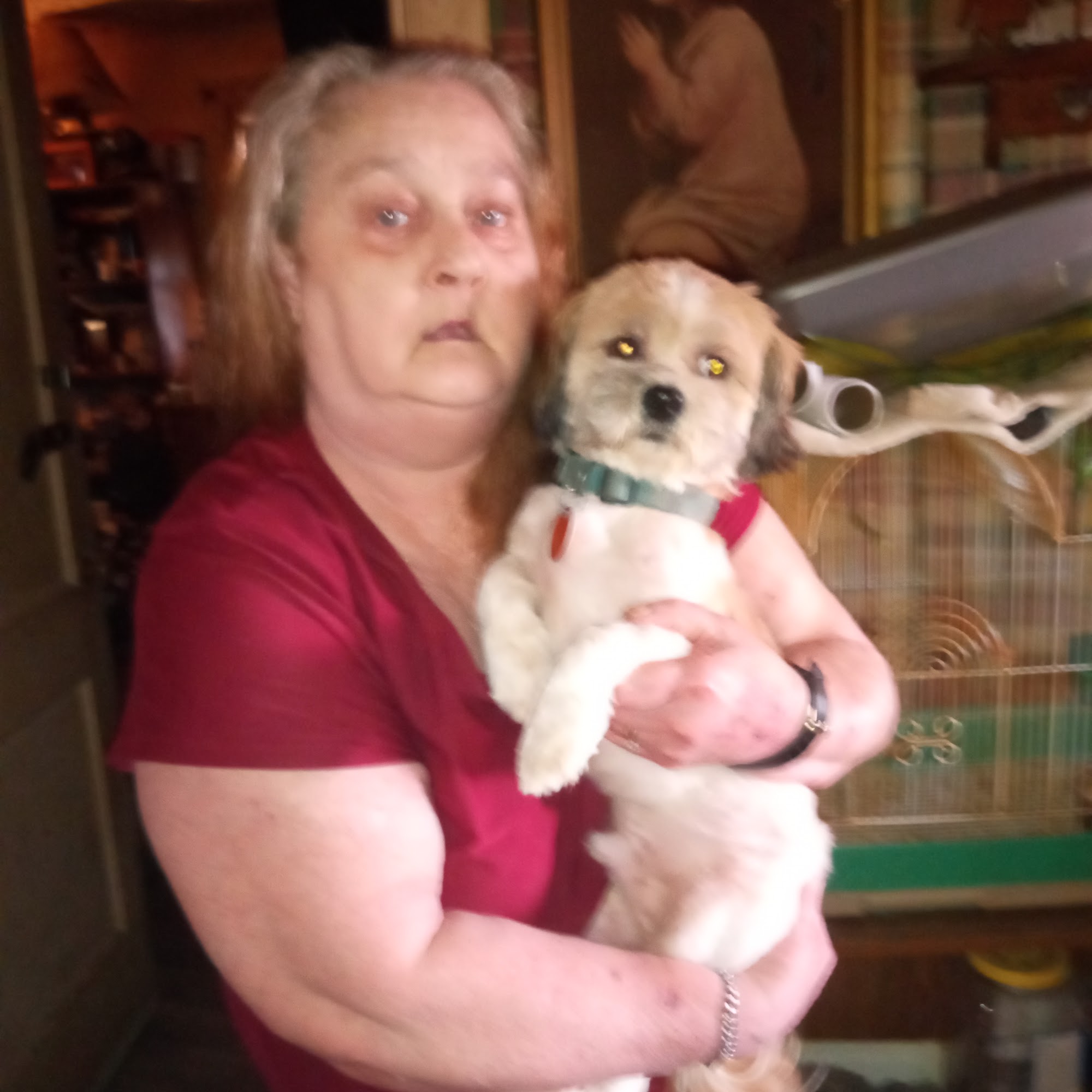 Beautiful Pets Grooming Too Reidsville