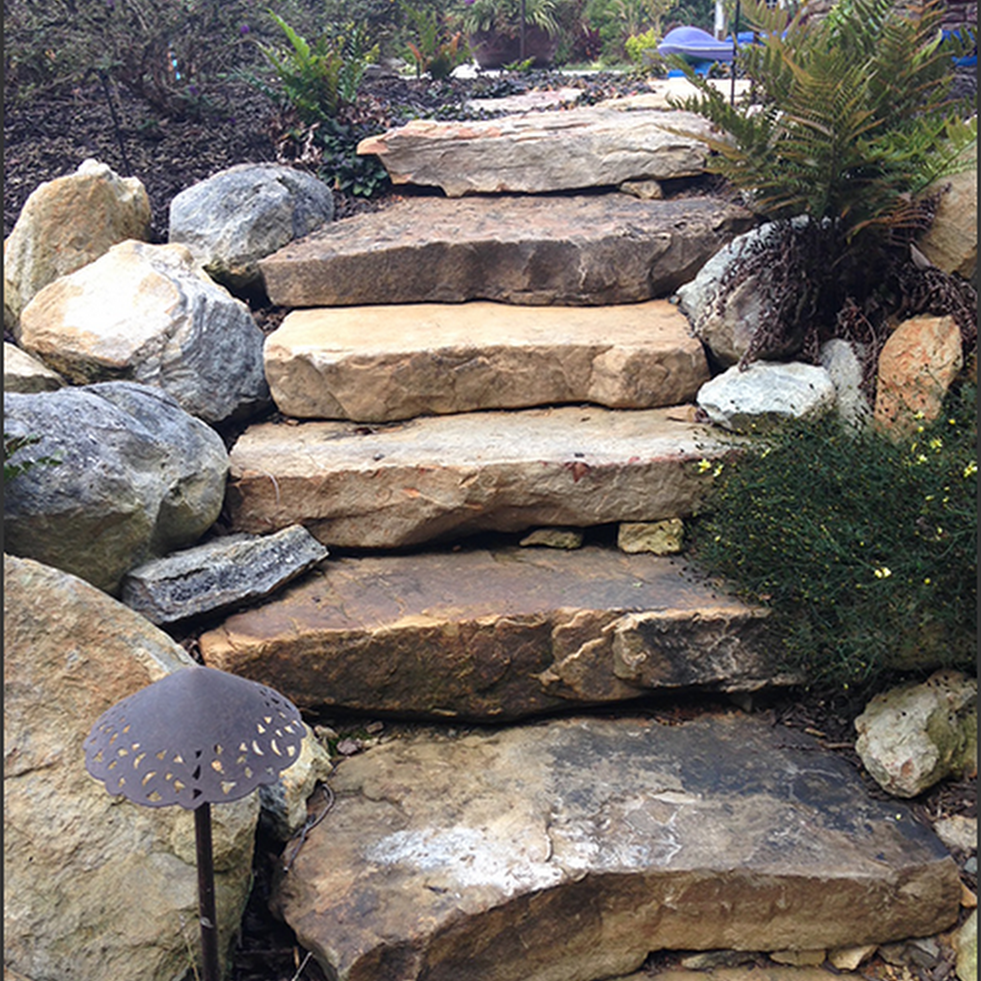 Piedmont Landscaping