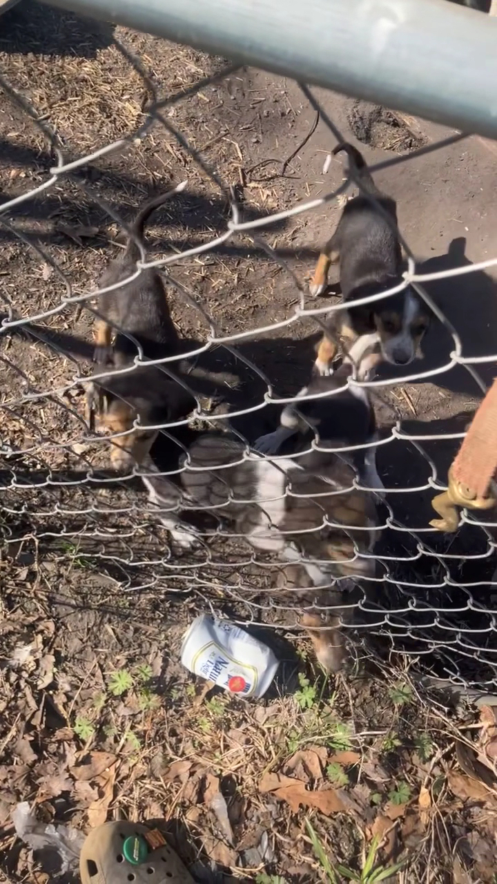 Murphy's Welding & Heavy Truck Richlands