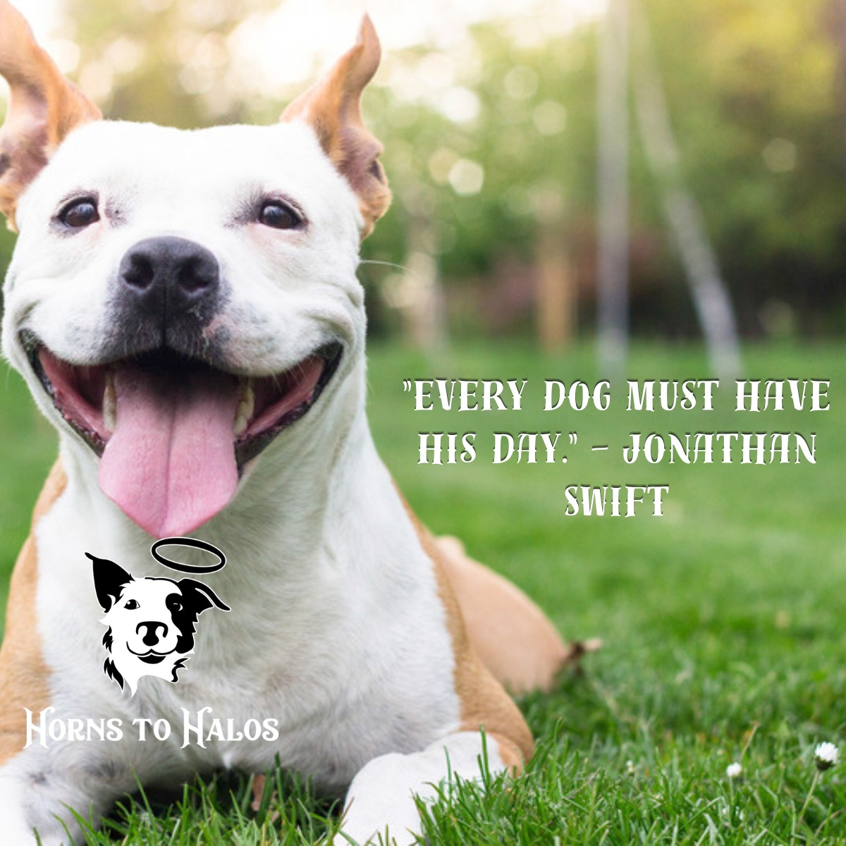 Horns to Halos Dog Training, L.L.C. Richlands